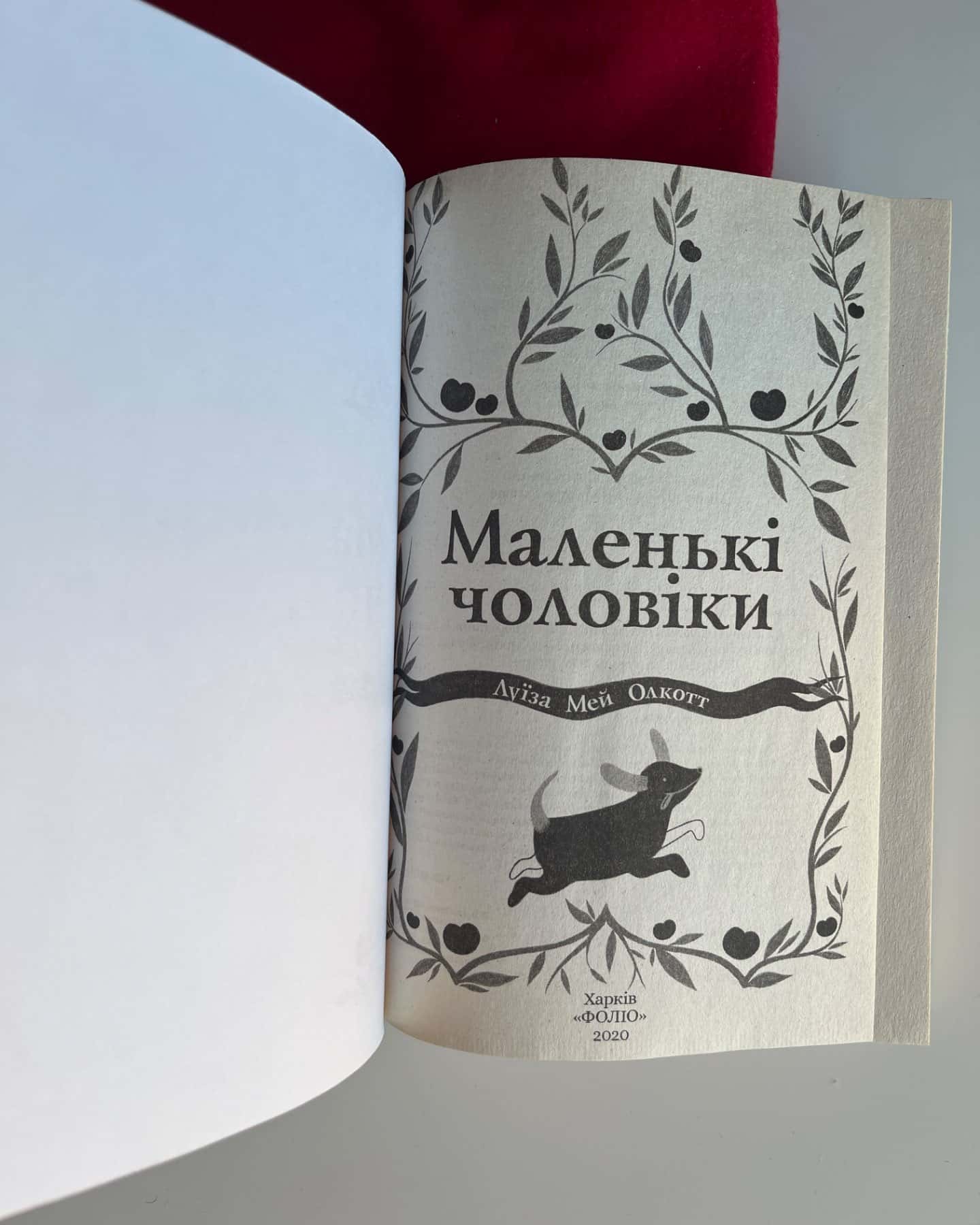 Маленькі чоловіки-Луїза Мей Олкотт