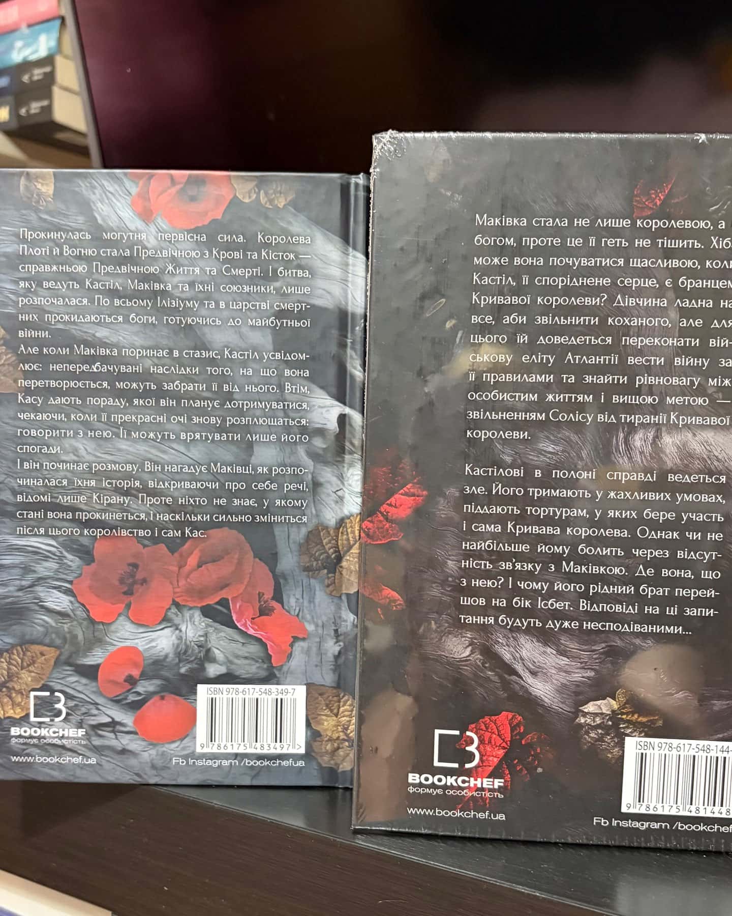 Кров і попіл. Книга 2. Королівство плоті й вогню, Кров і попіл. Книга 3. Корона з позолочених кісток, Кров і попіл. Книга 4. Війна двох королев, Кров і попіл. Книга 5. Душа з попелу та крові — Дженніфер Л. Арментраут