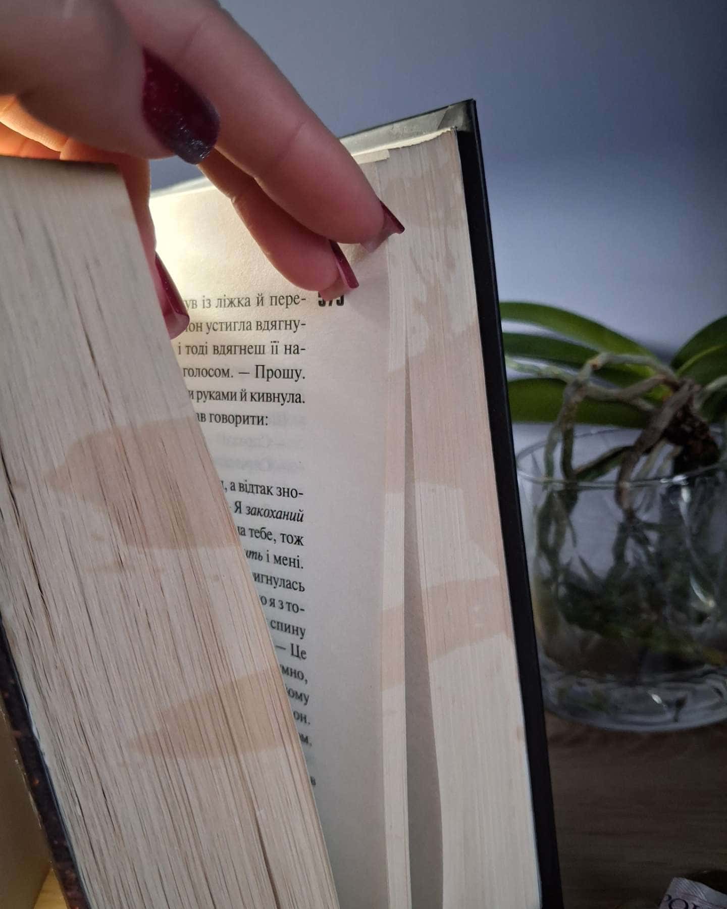 Вберегти Тринадцятого. Книга 2, Захопити Тринадцятого. Книга 1 — Хлої Волш