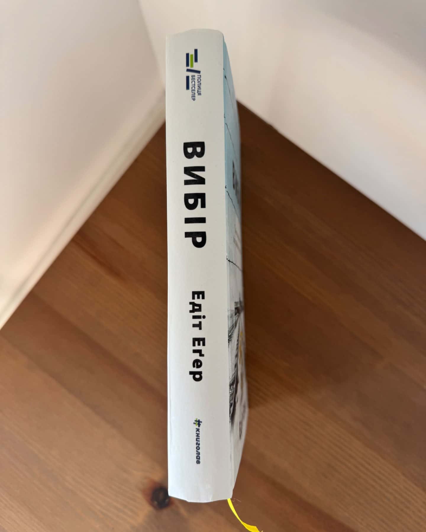 Вибір. Прийняти можливе-Едіт Єва Еґер