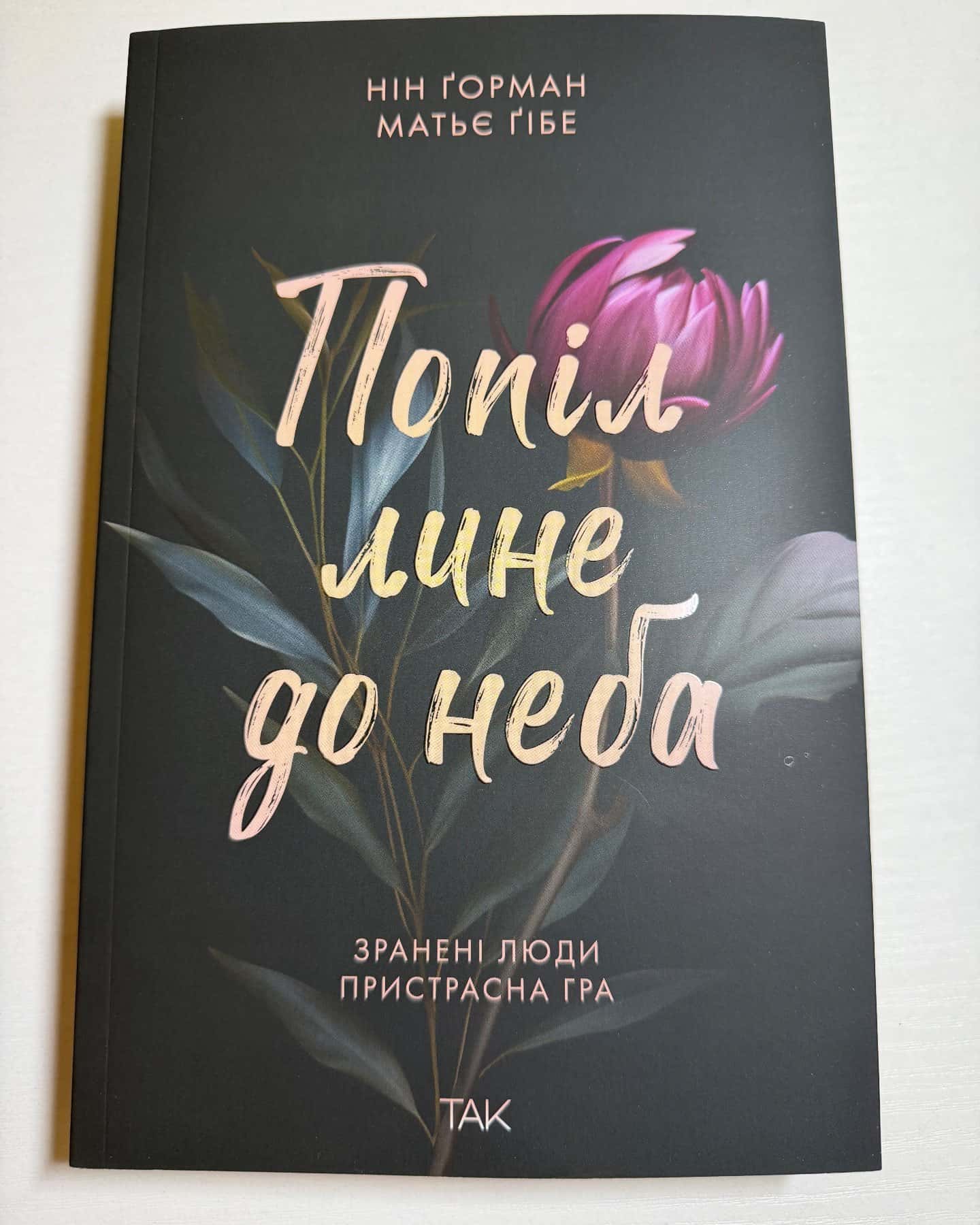 Попіл лине до неба (1 і 2) — Нін Ґорман / Матьє Ґібе