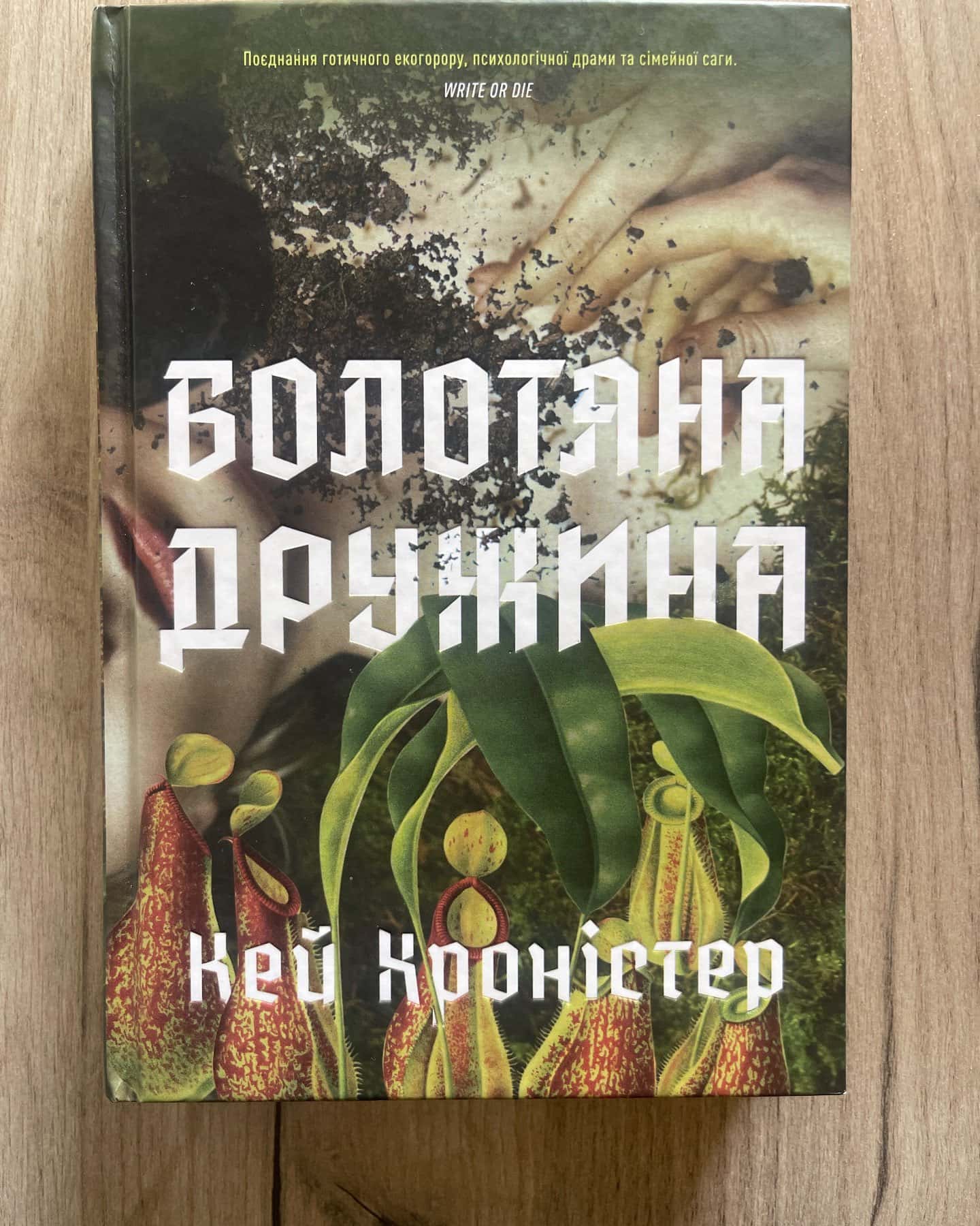 Болотяна дружина — Кей Хроністер