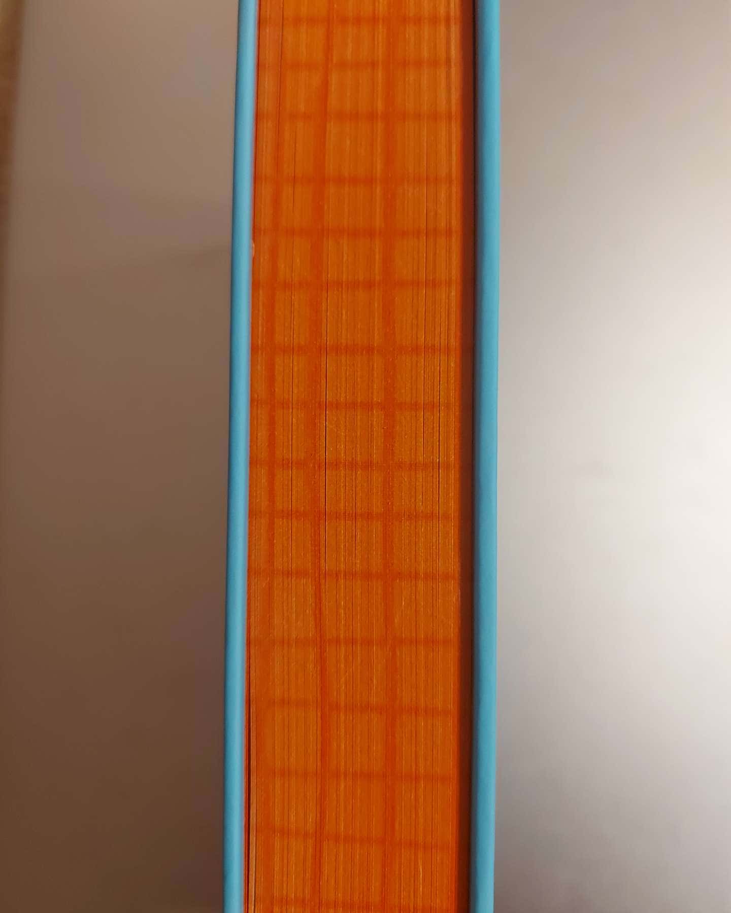 Книголюби-Емілі Генрі