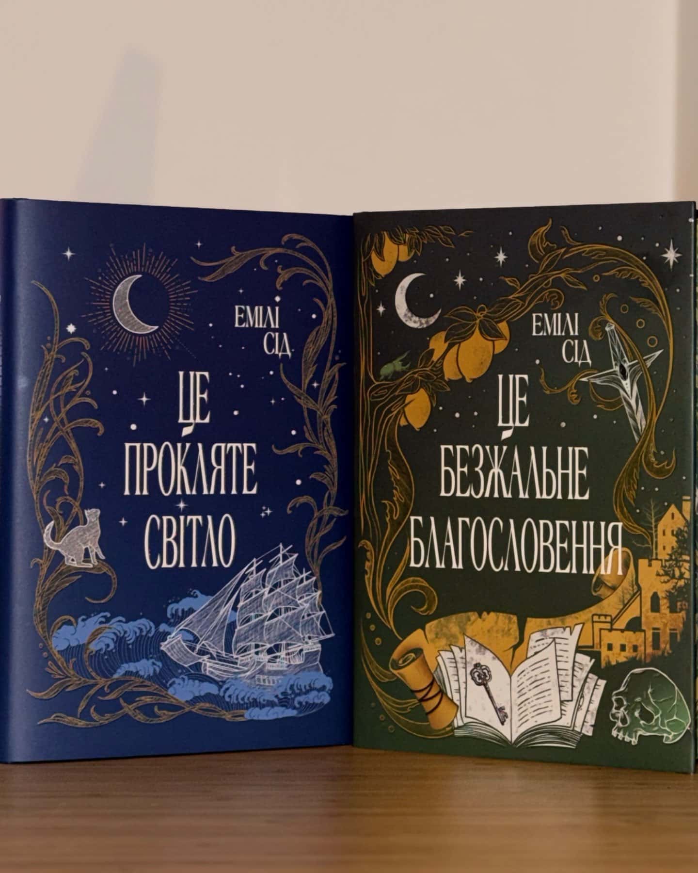 Це безжальне благословення, Це прокляте світло-Емілі Сід