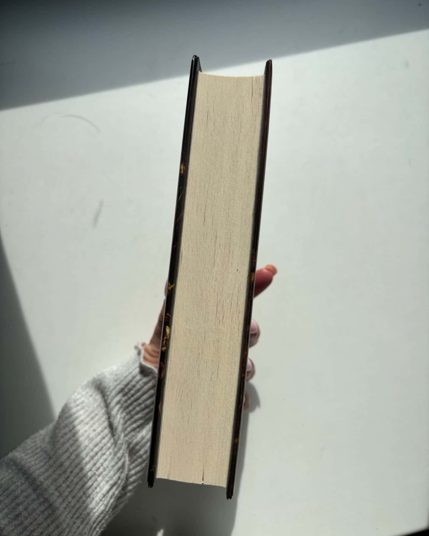 Балада про співочих пташок і змій-Сюзанна Коллінз