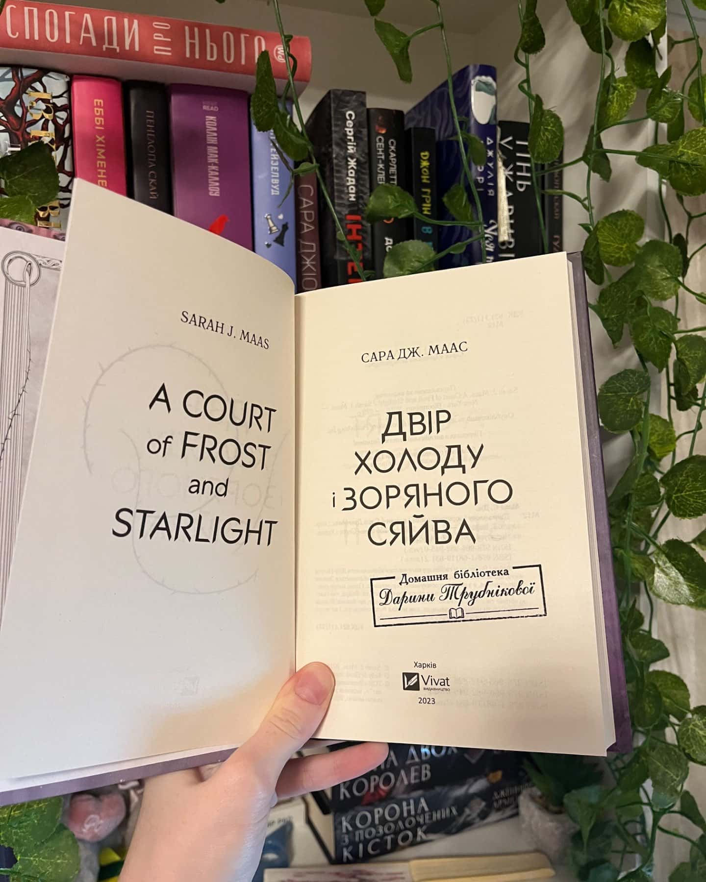Двір холоду і зоряного сяйва-Сара Маас