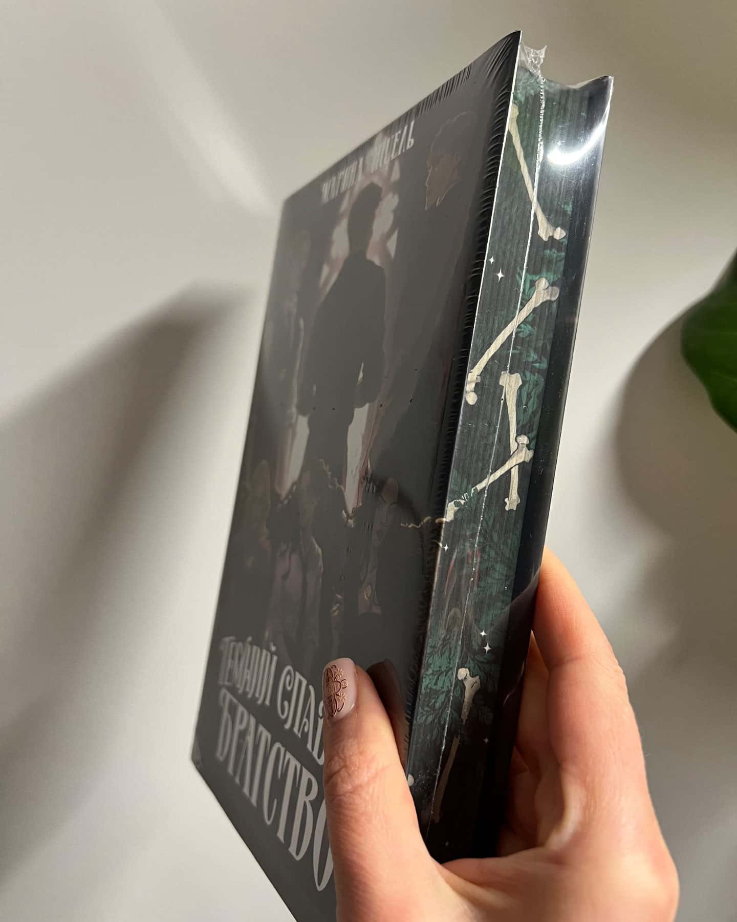 Темний спадок. Братство. Книга 1-Марина Ніцель