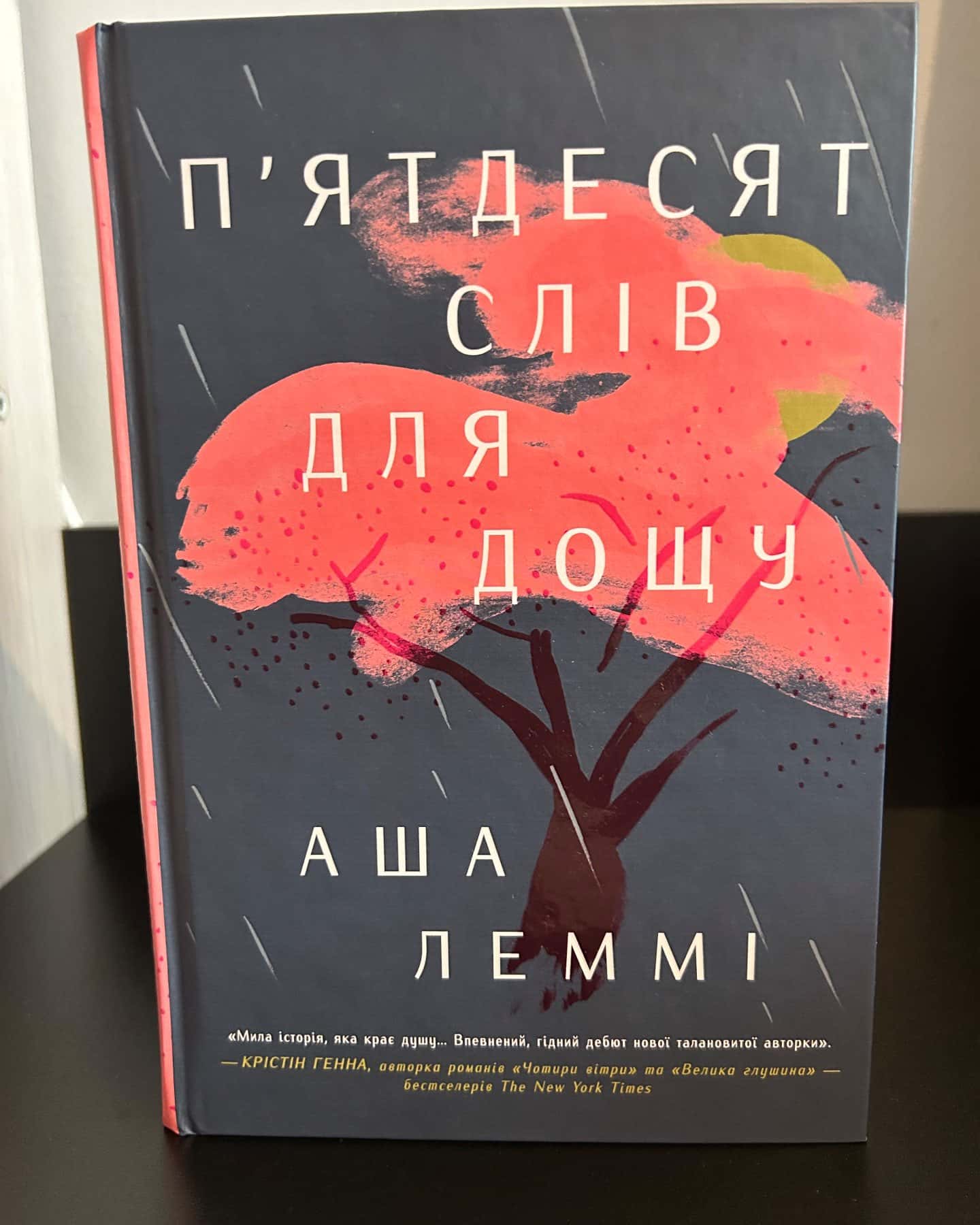 П’ятдесят слів для дощу-Аша Леммі