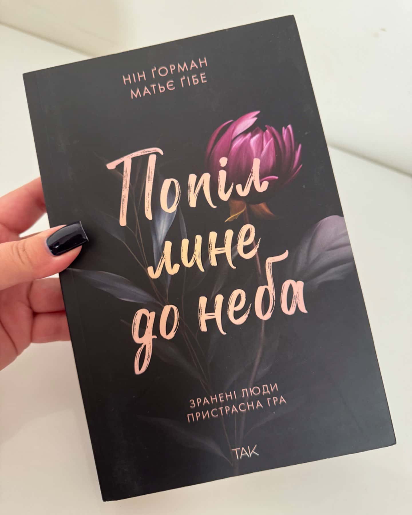 Попіл лине до неба. Том 1-Матьє Ґібе, Нін Ґорман