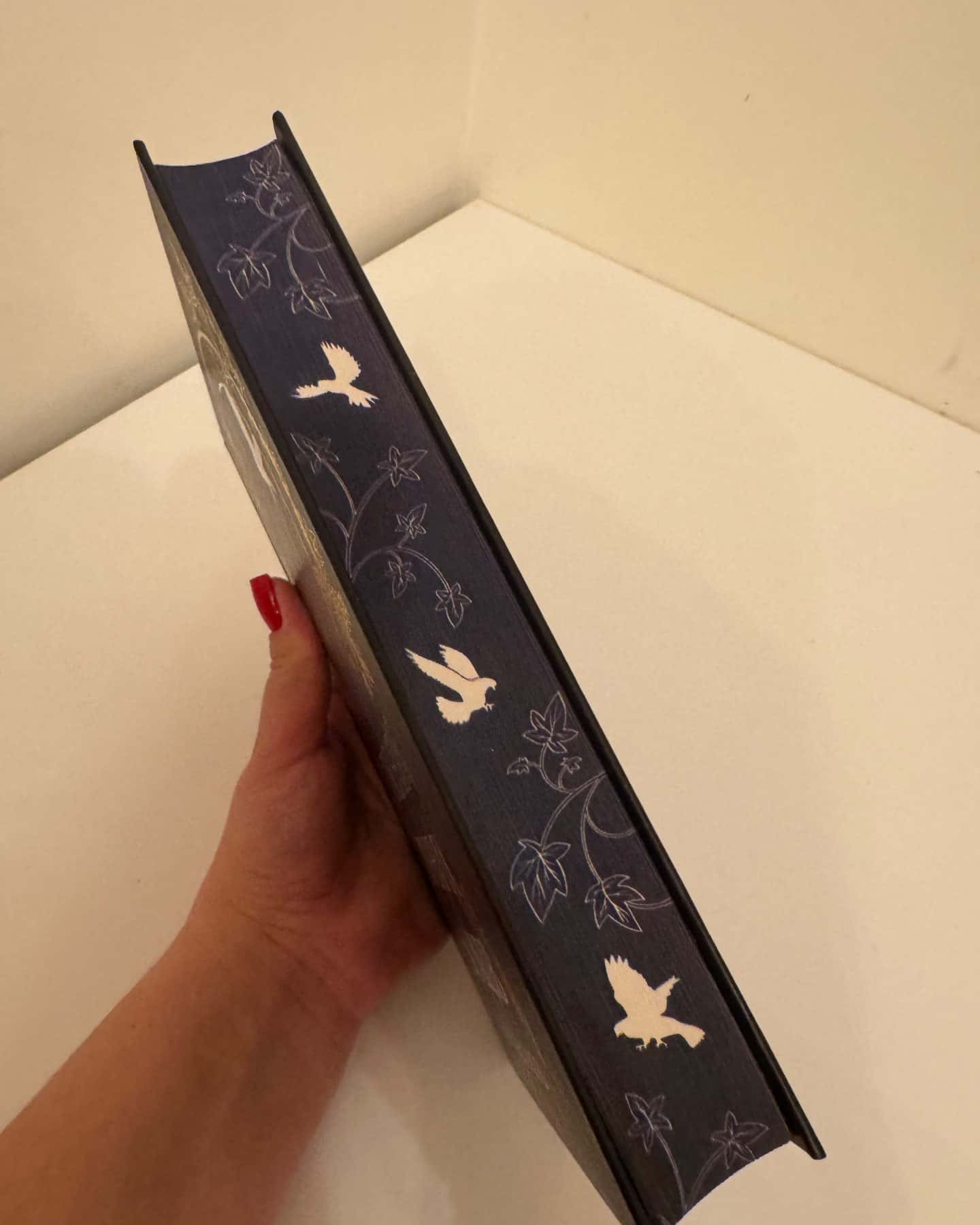 Пісня вічних дощів-Е.Дж. Меллов