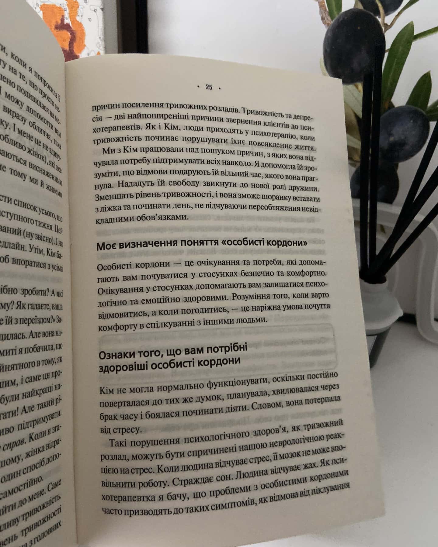 Особисті кордони. Керівництво зі спокійного життя без травм і комплексів — Недра Ґловер Тавваб