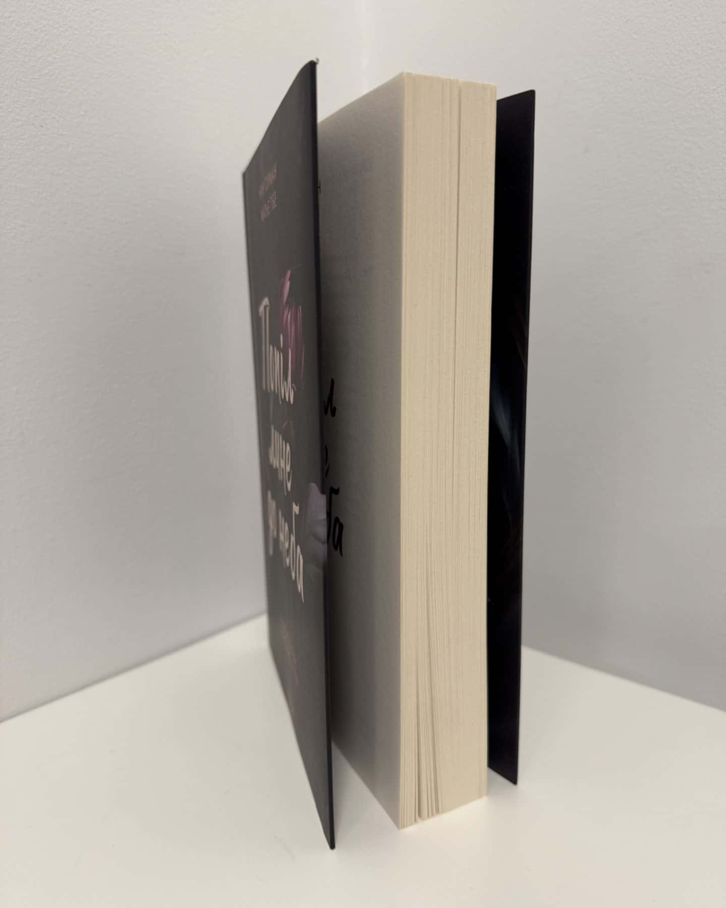 Попіл лине до неба. Том 1-Матьє Ґібе, Нін Ґорман