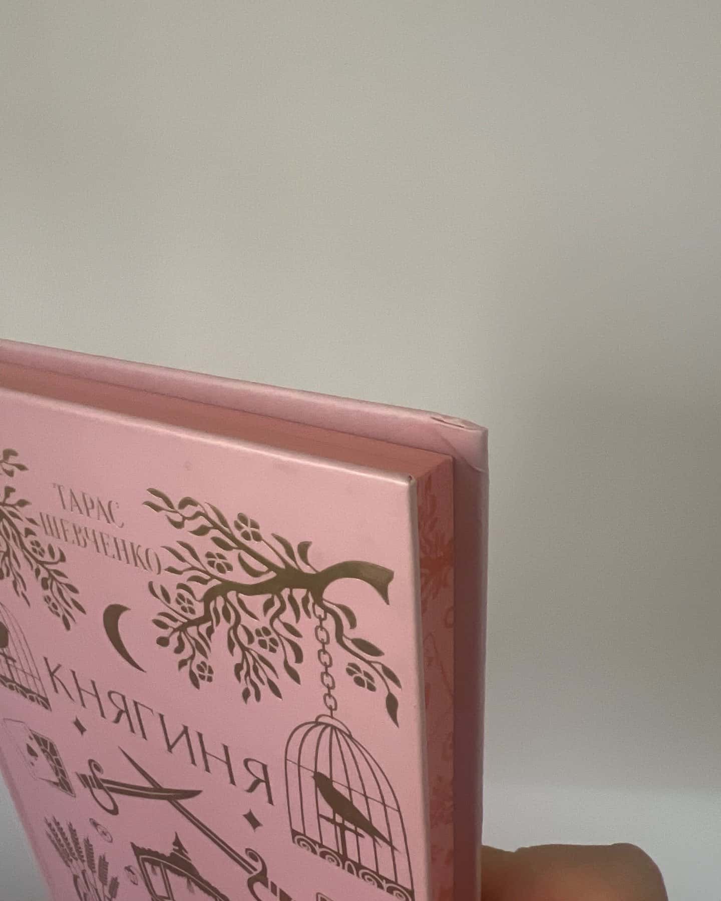 Княгиня-Тарас Шевченко