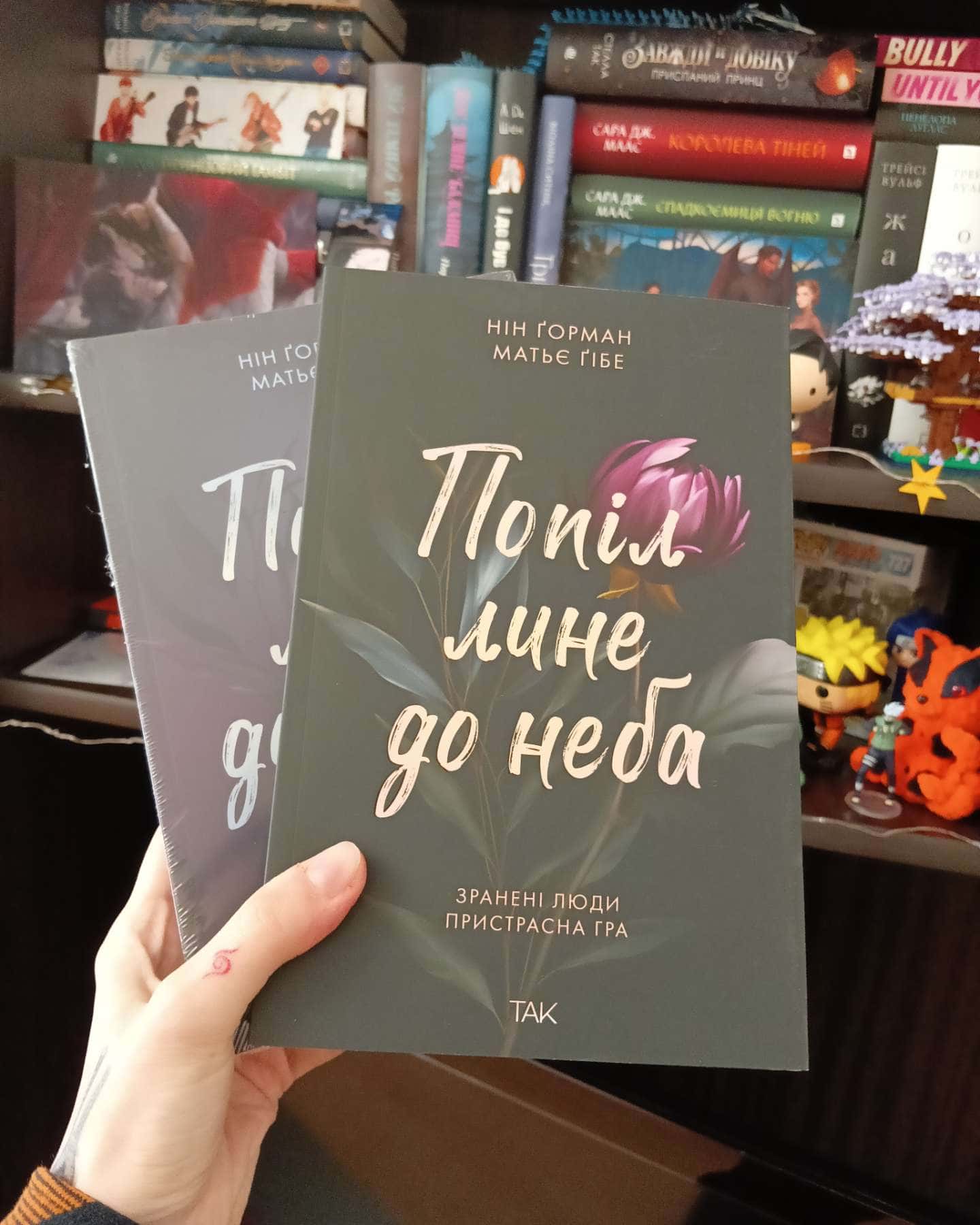 Попіл лине до неба. Том 1, Попіл лине до неба. Том 2 — Матьє Ґібе, Нін Ґорман