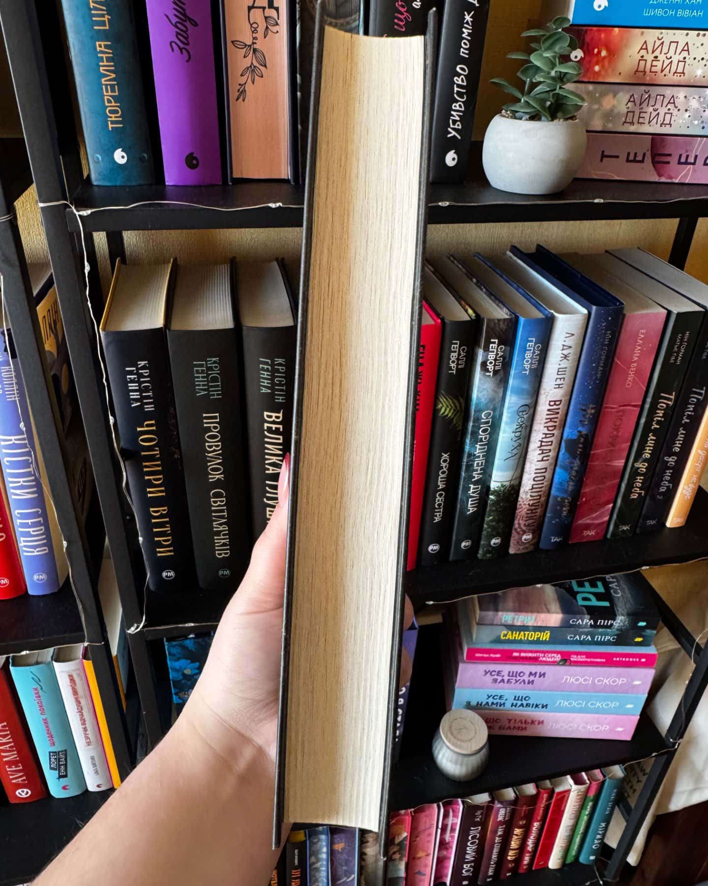 Останній спадок-Андрій Новік