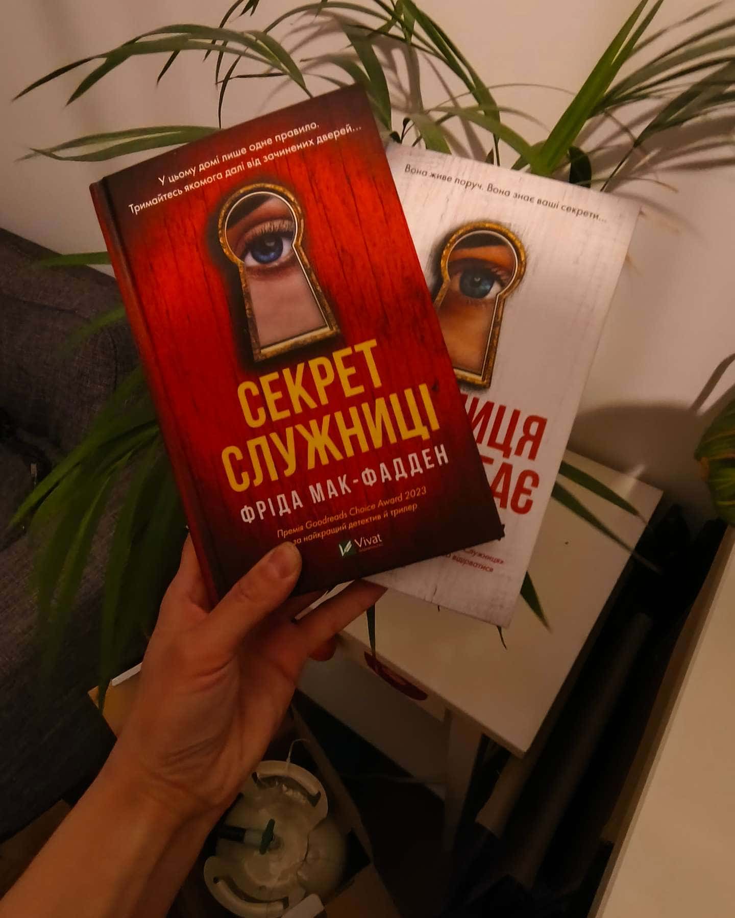 Служниця спостерігає, Секрет служниці-Фріда Мак-Фадден