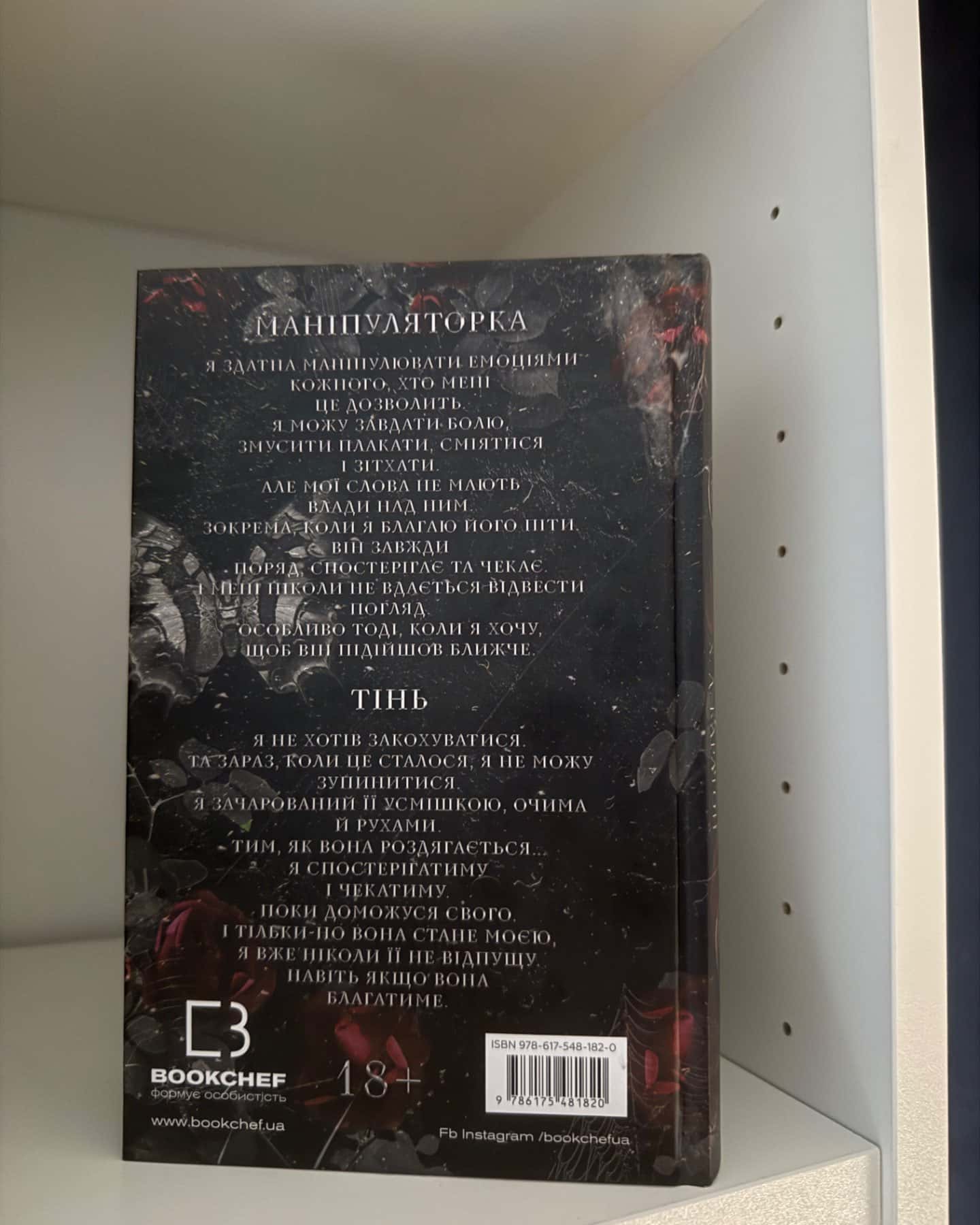 Переслідування Аделіни. Гра в кота і мишу. Книга 1-Г. Д. Карлтон