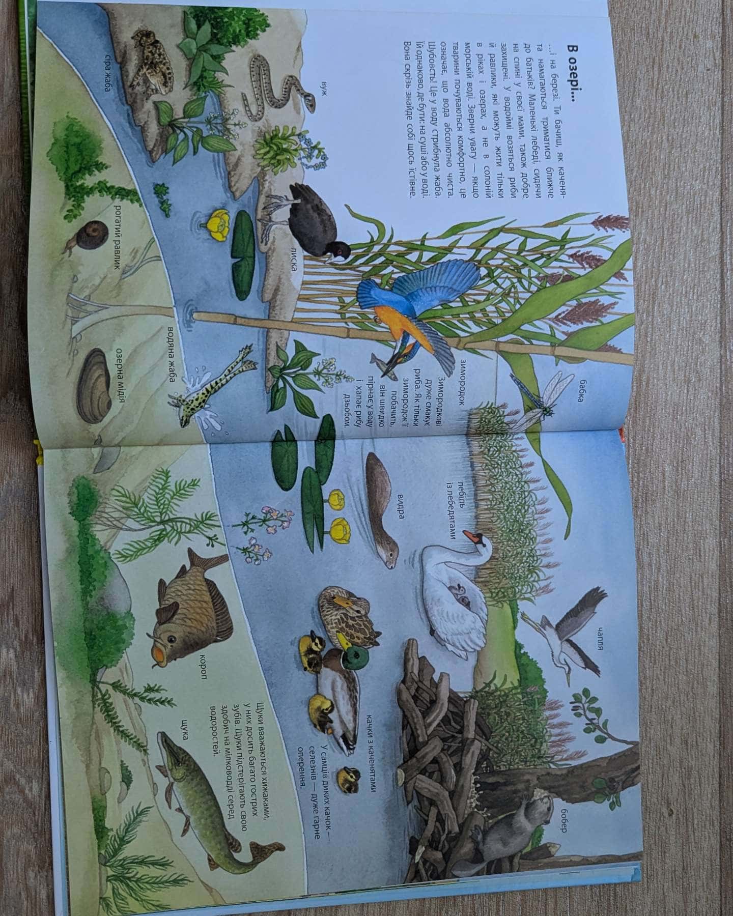 Моя перша мальована енциклопедія.Тварини-Видавництво Ранок