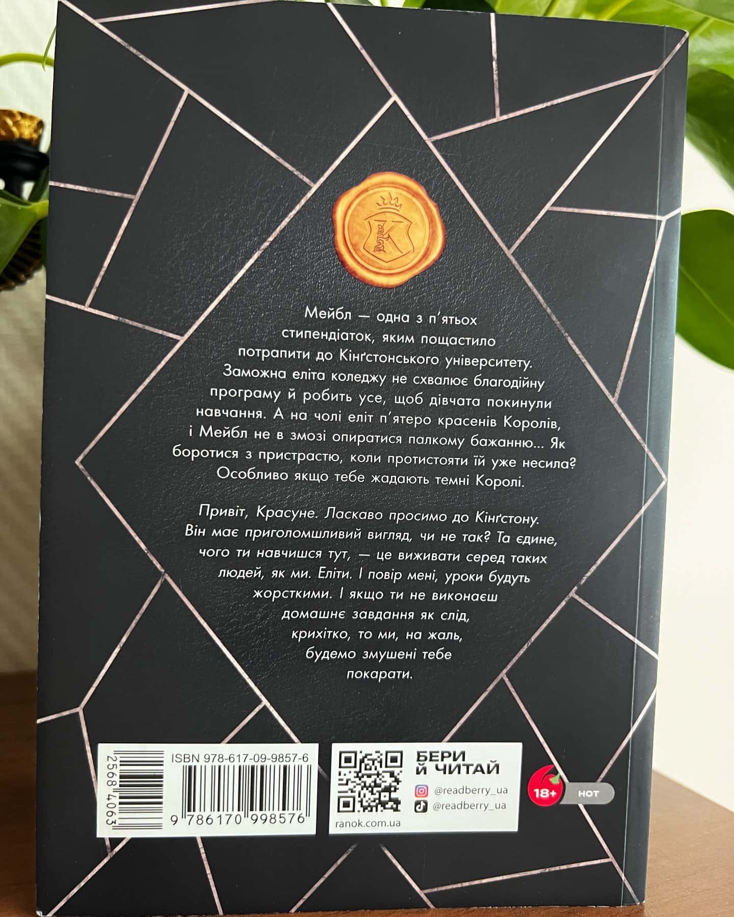 Дуже погані королі. Кінгстонський університет. Книга 1 — Дж. С. Вонда