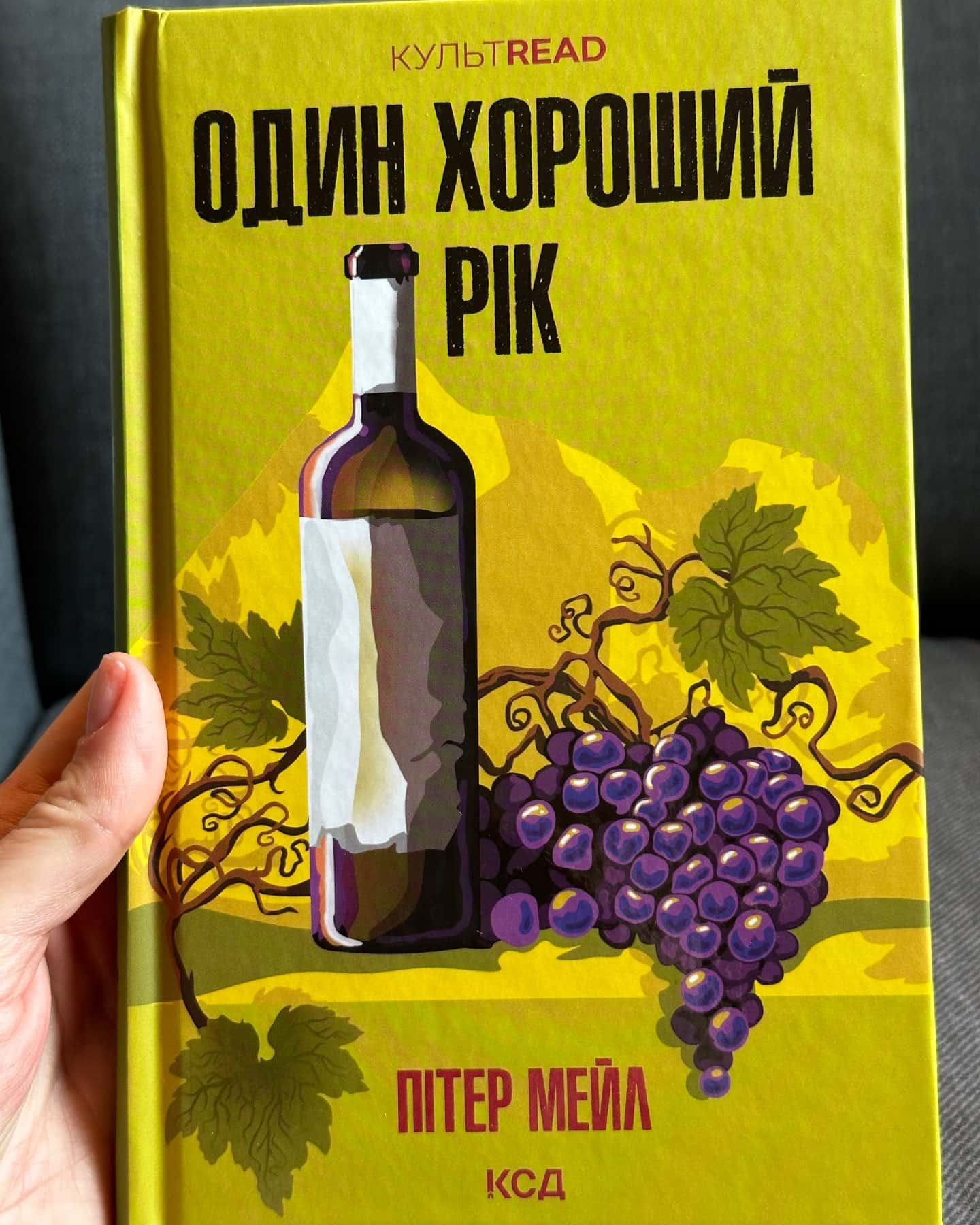 Один хороший рік-Пітер Мейл