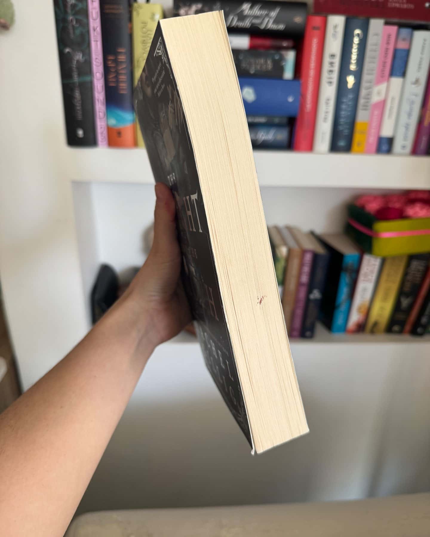 The Knight and the Moth — Rachel Gillig