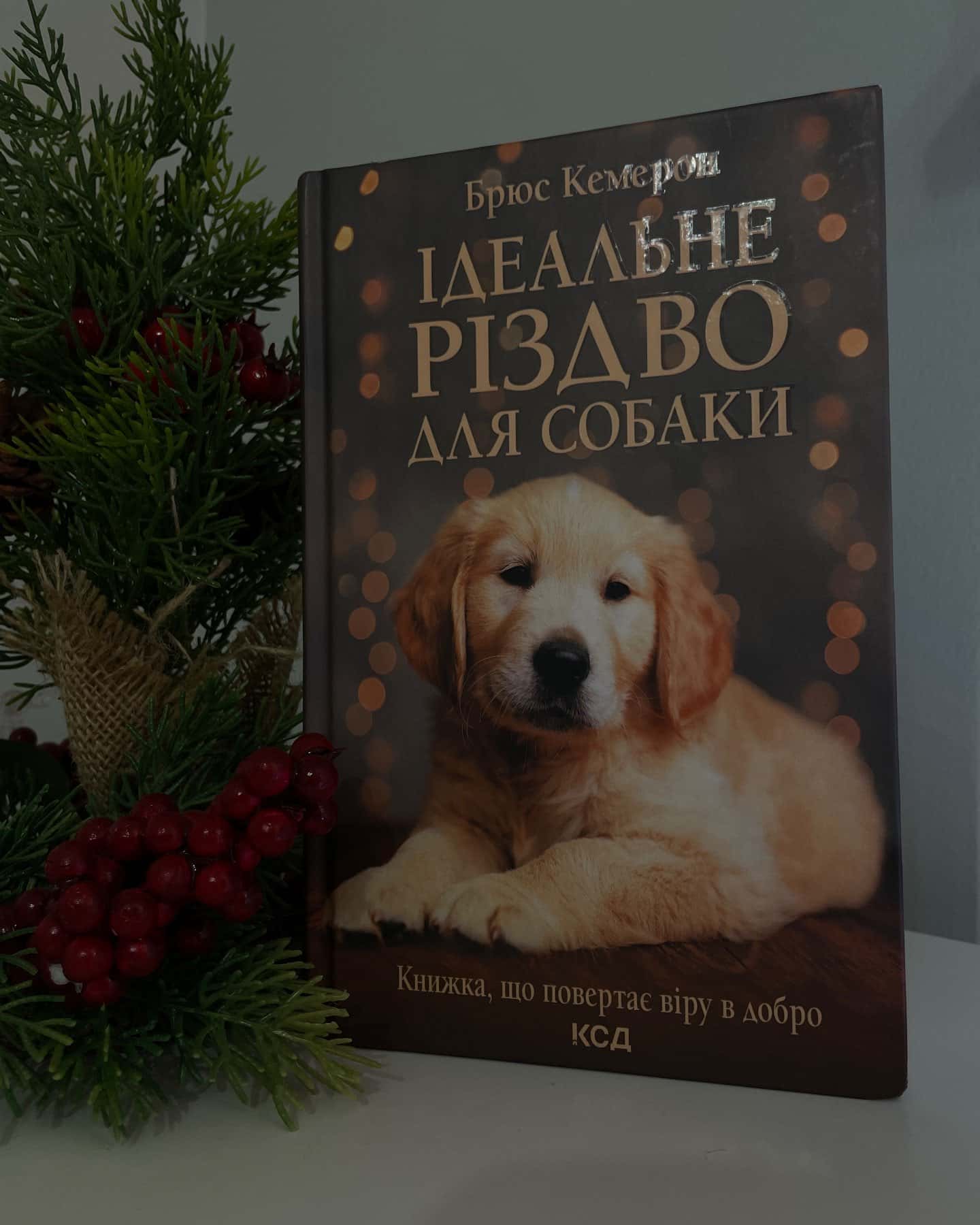 Ідеальне Різдво для собаки-Брюс Кемерон
