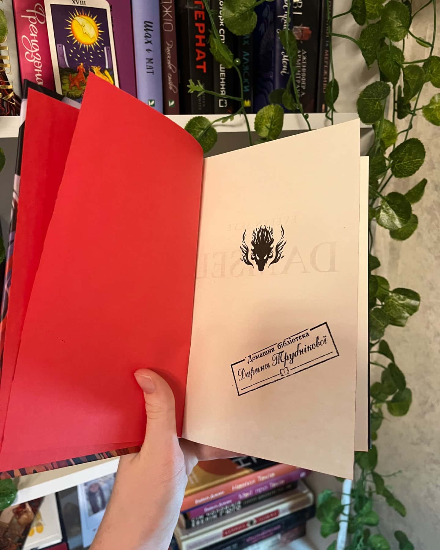 Діва проти біди-Евелін Скай