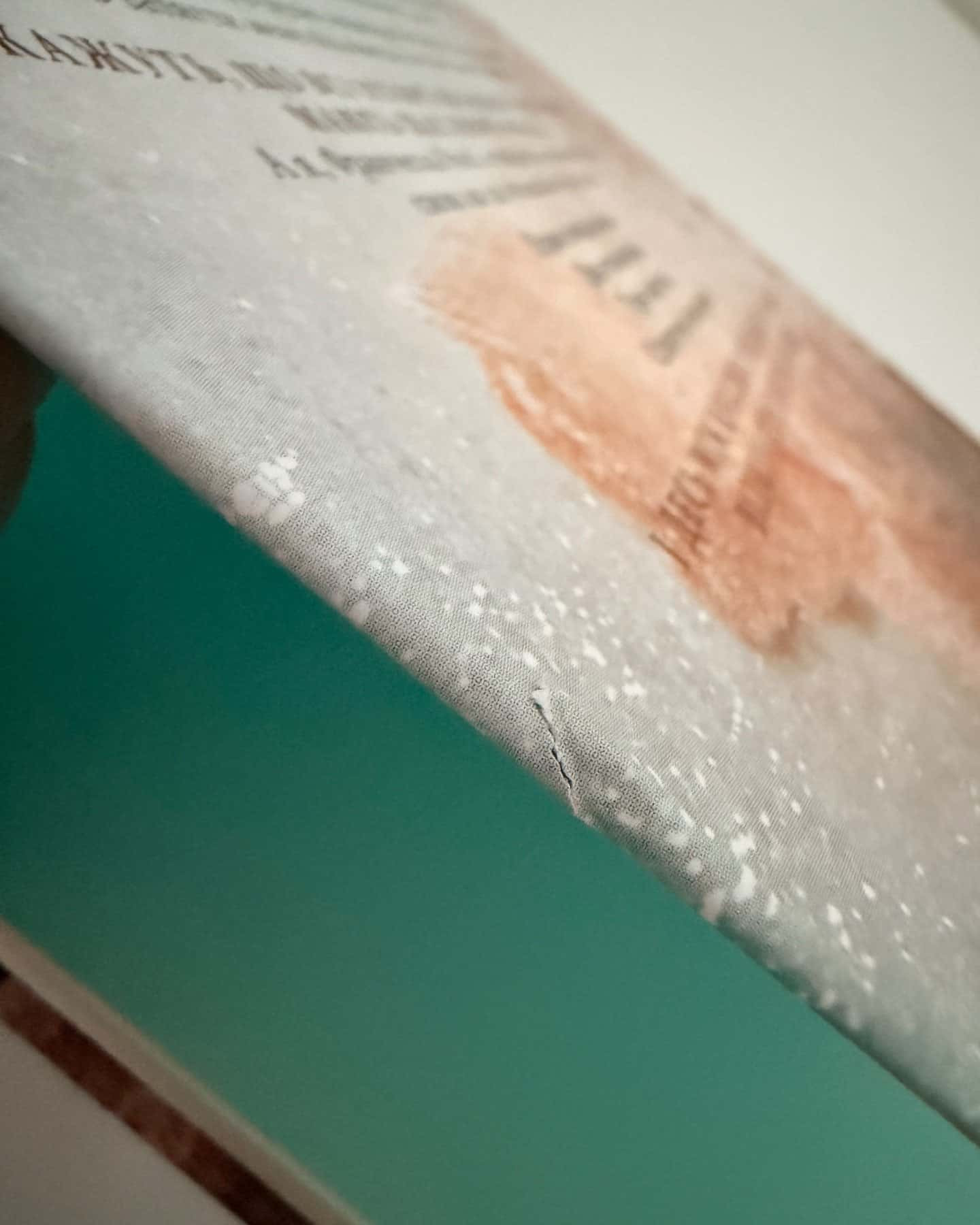 Викрадач поцілунку-Л. Дж. Шен