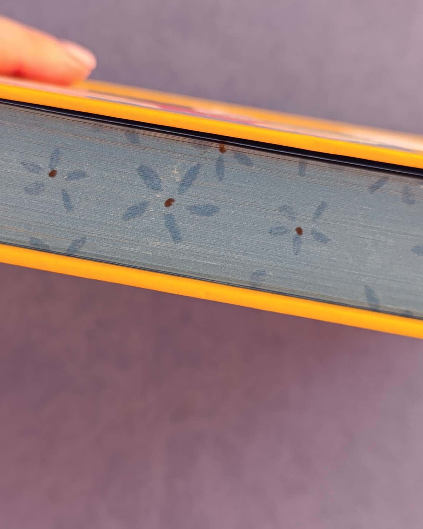 Пляжне чтиво-Емілі Генрі