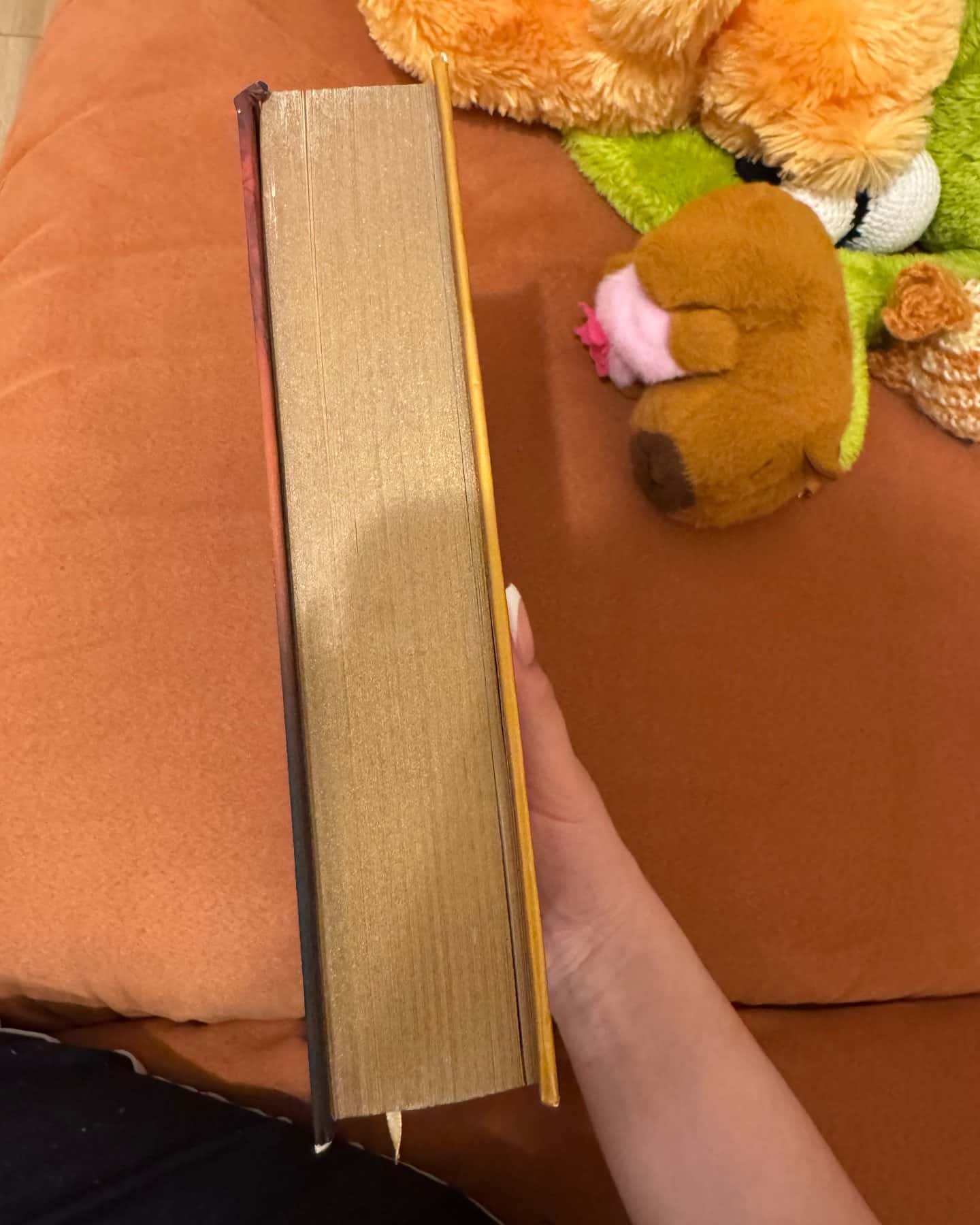 Сім чоловіків Евелін Г'юґо-Тейлор Дженкінс Рід