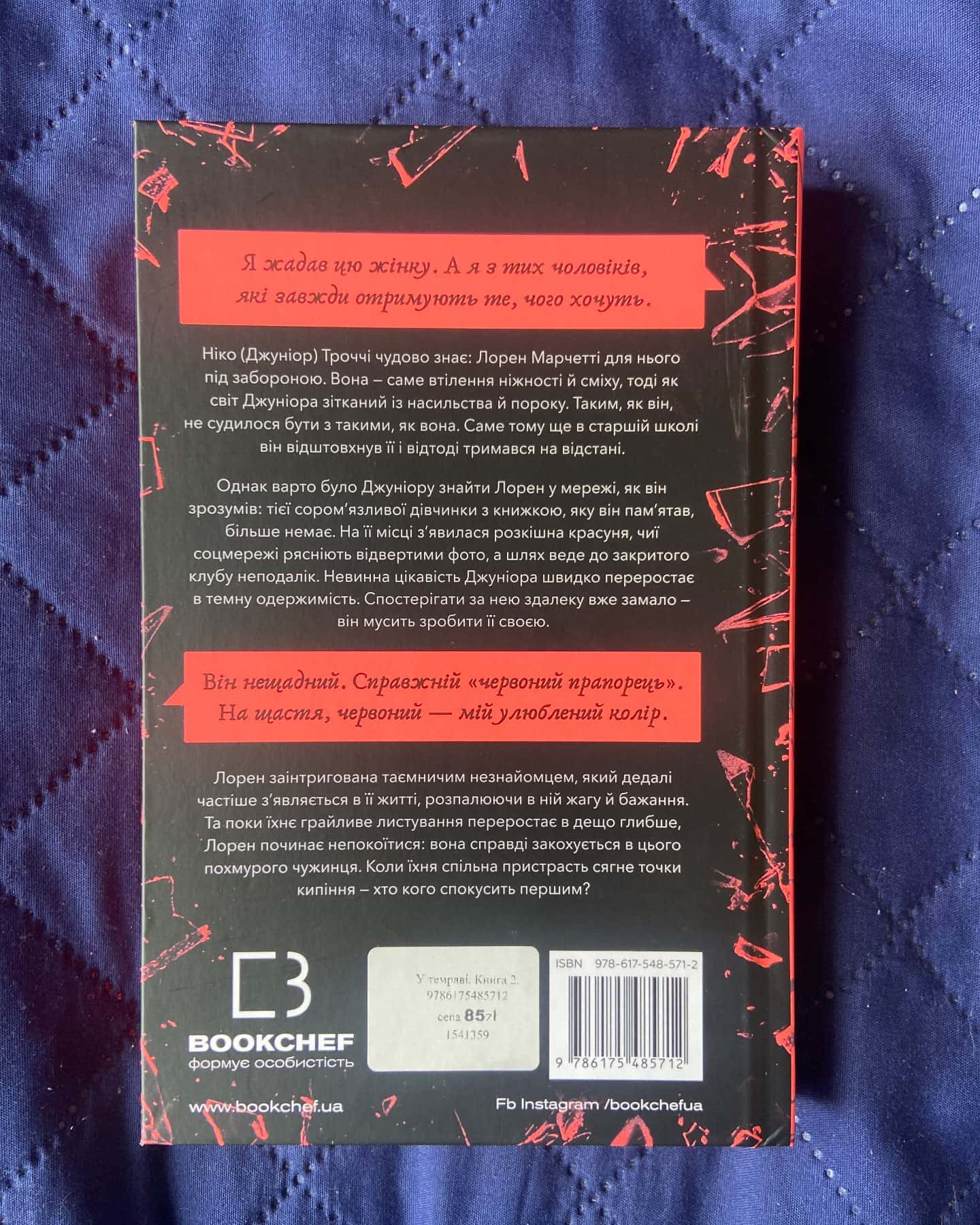 Пастка зімкнулась. У темряві. Книга 2 — Навесса Аллен