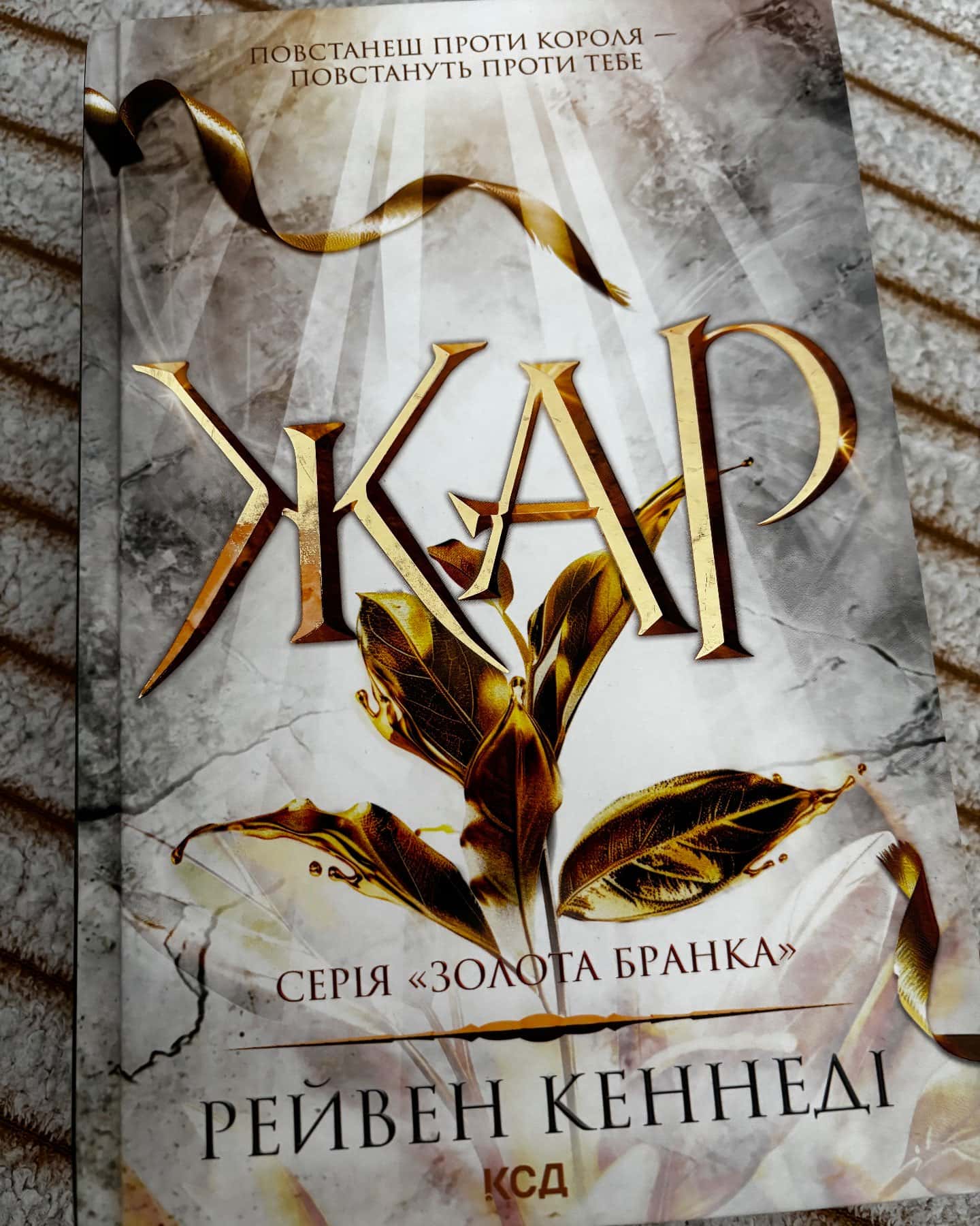 Жар. Книга 4 — Рейвен Кеннеді