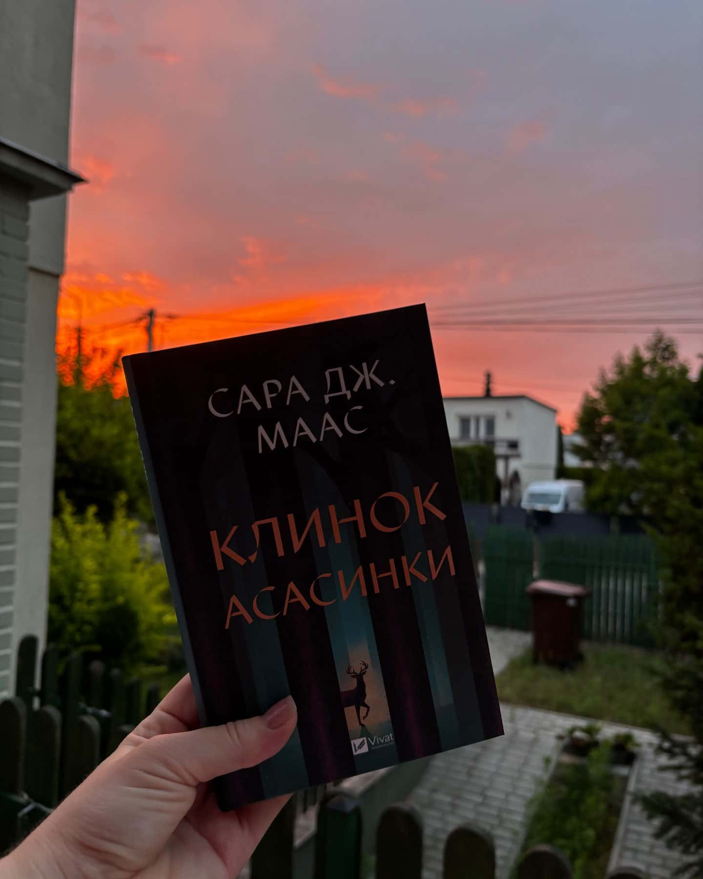 Трон зі скла, Корона опівночі, Спадкоємиця вогню. Книга 3, Клинок асасинки, Королева тіней — Сара Маас, Сара Дж. Маас