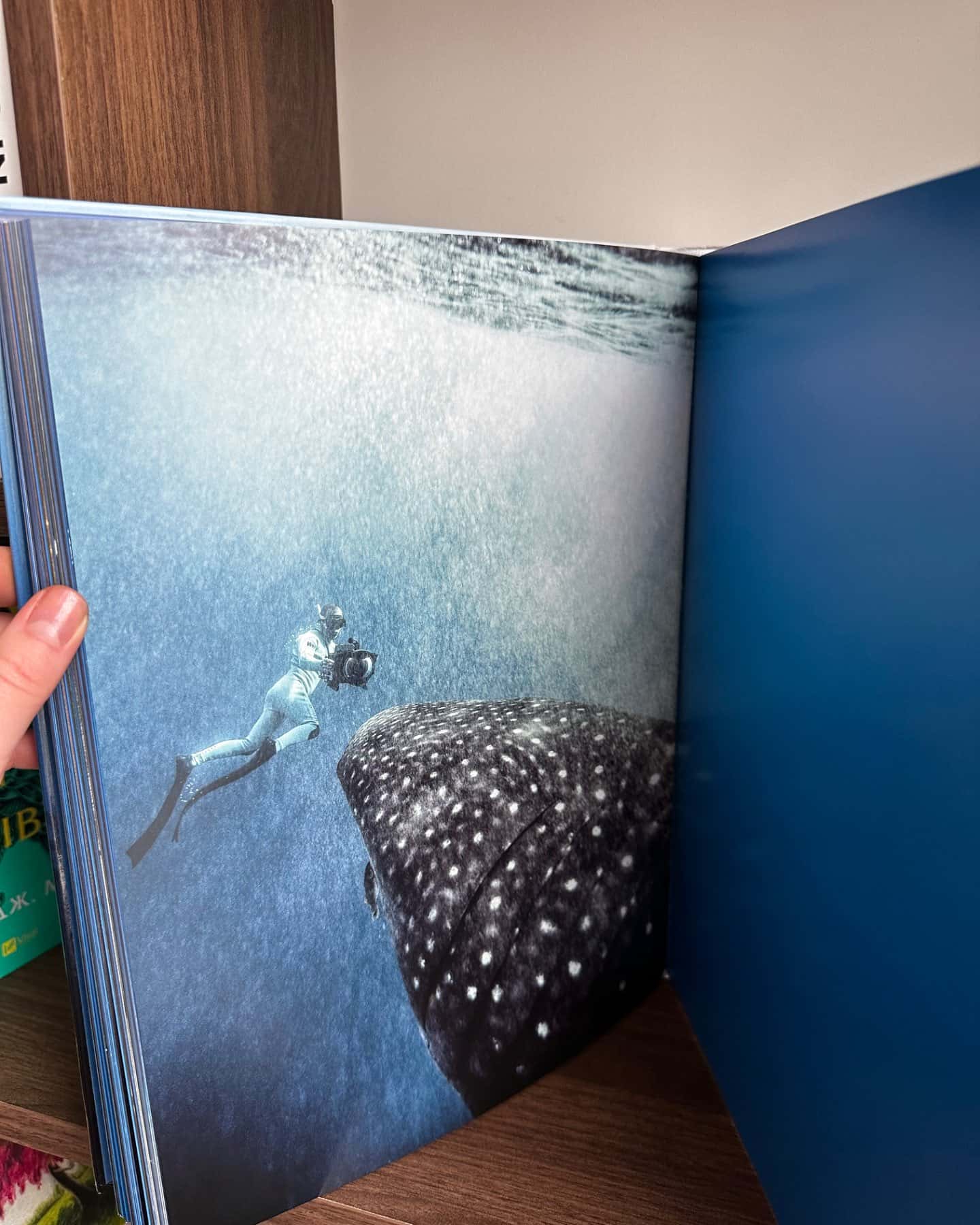 Sharks Face-to-Face with the Ocean’s Endangered Predator, ISBN 3836553597,  виміри 280 x 372-Michael Muller, Tashen