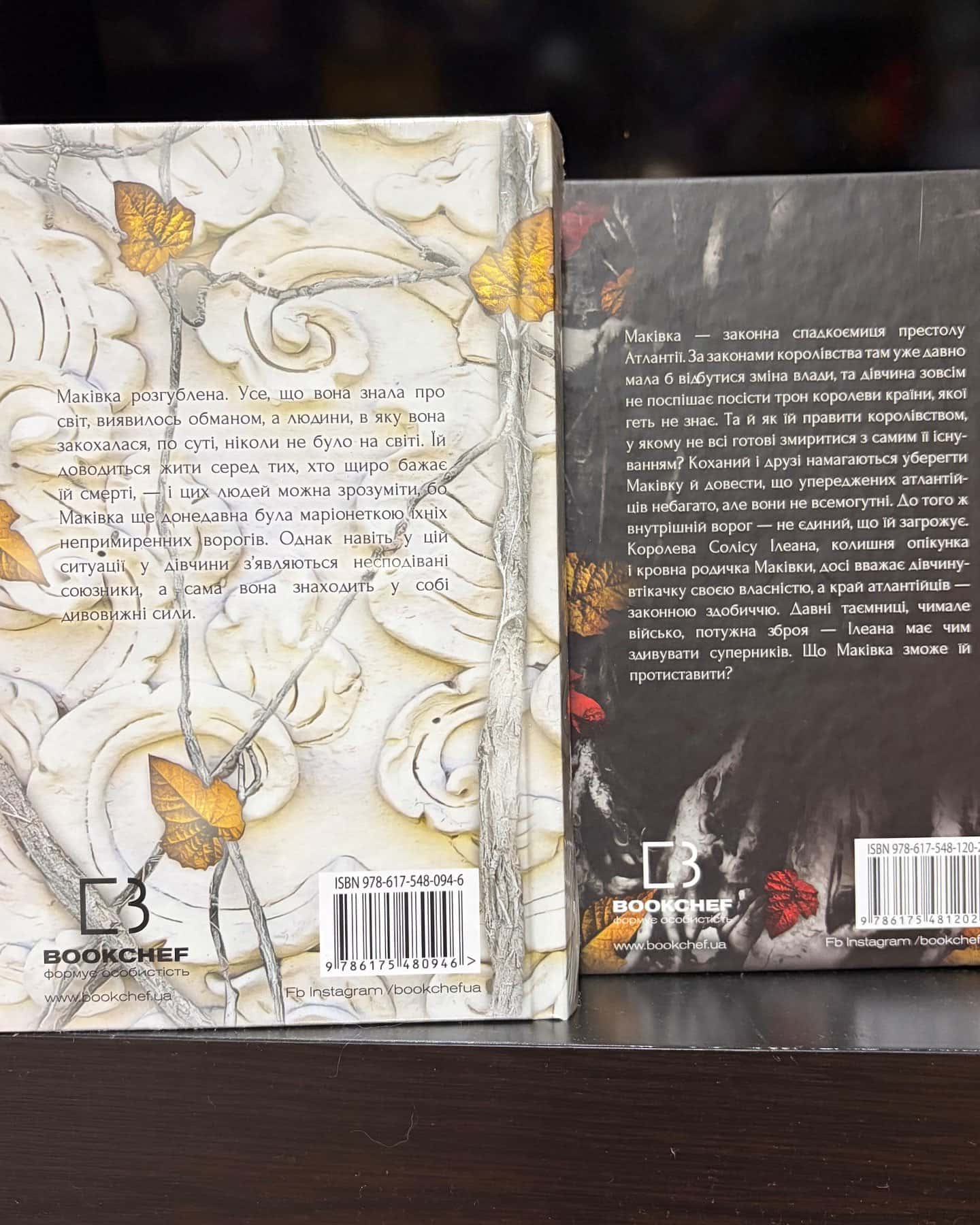Кров і попіл. Книга 2. Королівство плоті й вогню, Кров і попіл. Книга 3. Корона з позолочених кісток, Кров і попіл. Книга 4. Війна двох королев, Кров і попіл. Книга 5. Душа з попелу та крові — Дженніфер Л. Арментраут