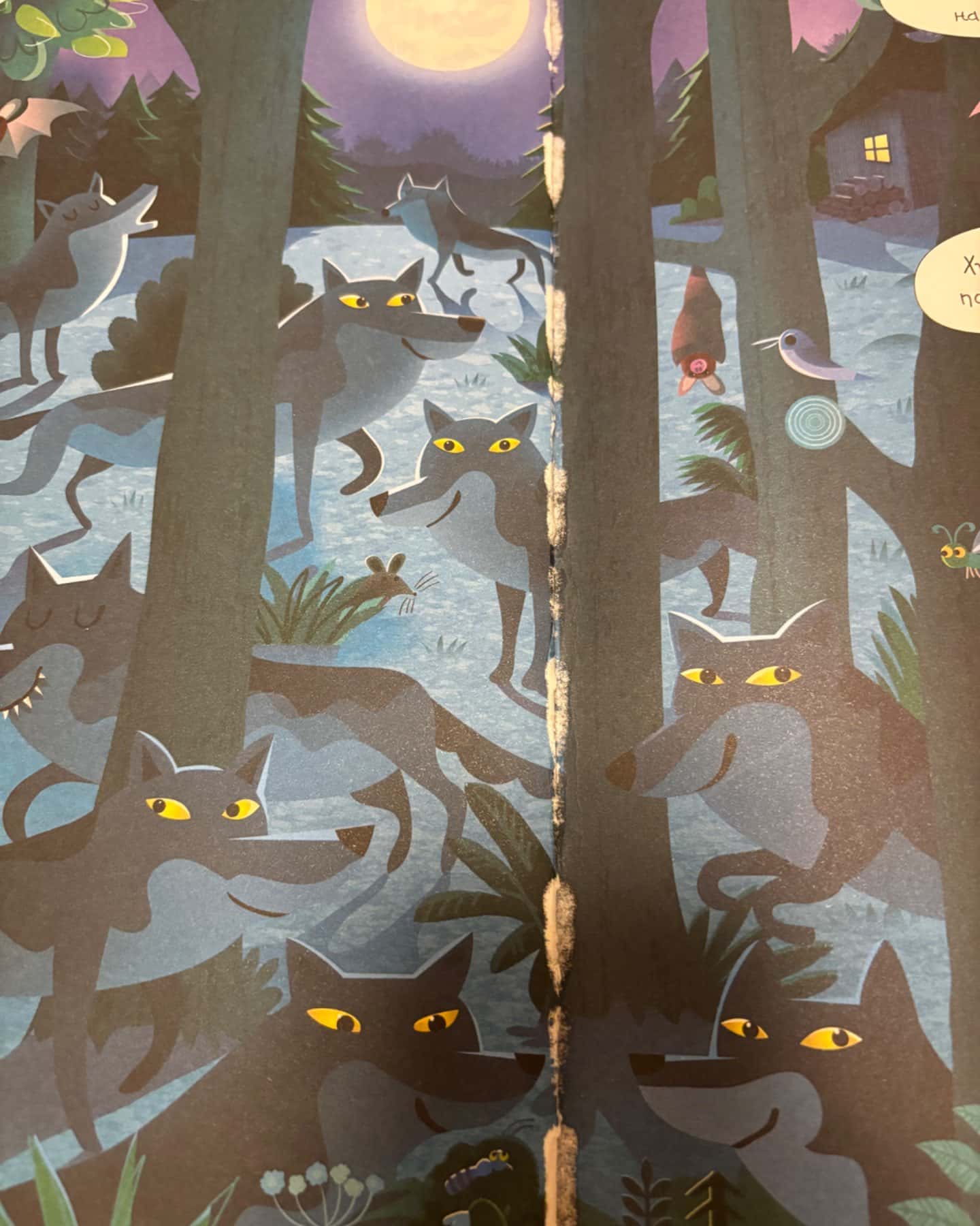 Подивись і знайди у лісі-Крістін Робсон