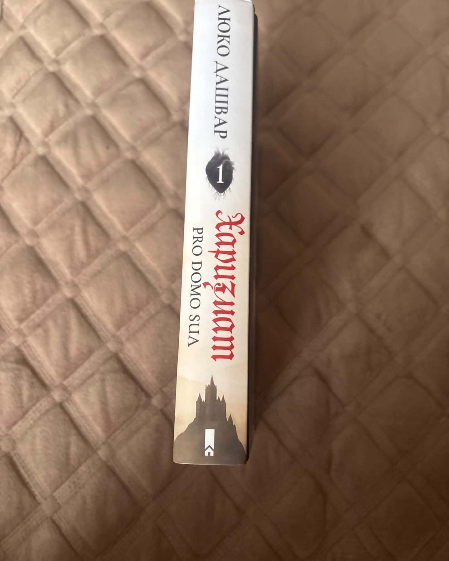 Харизмат. Pro domo sua. Книга 1-Люко Дашвар