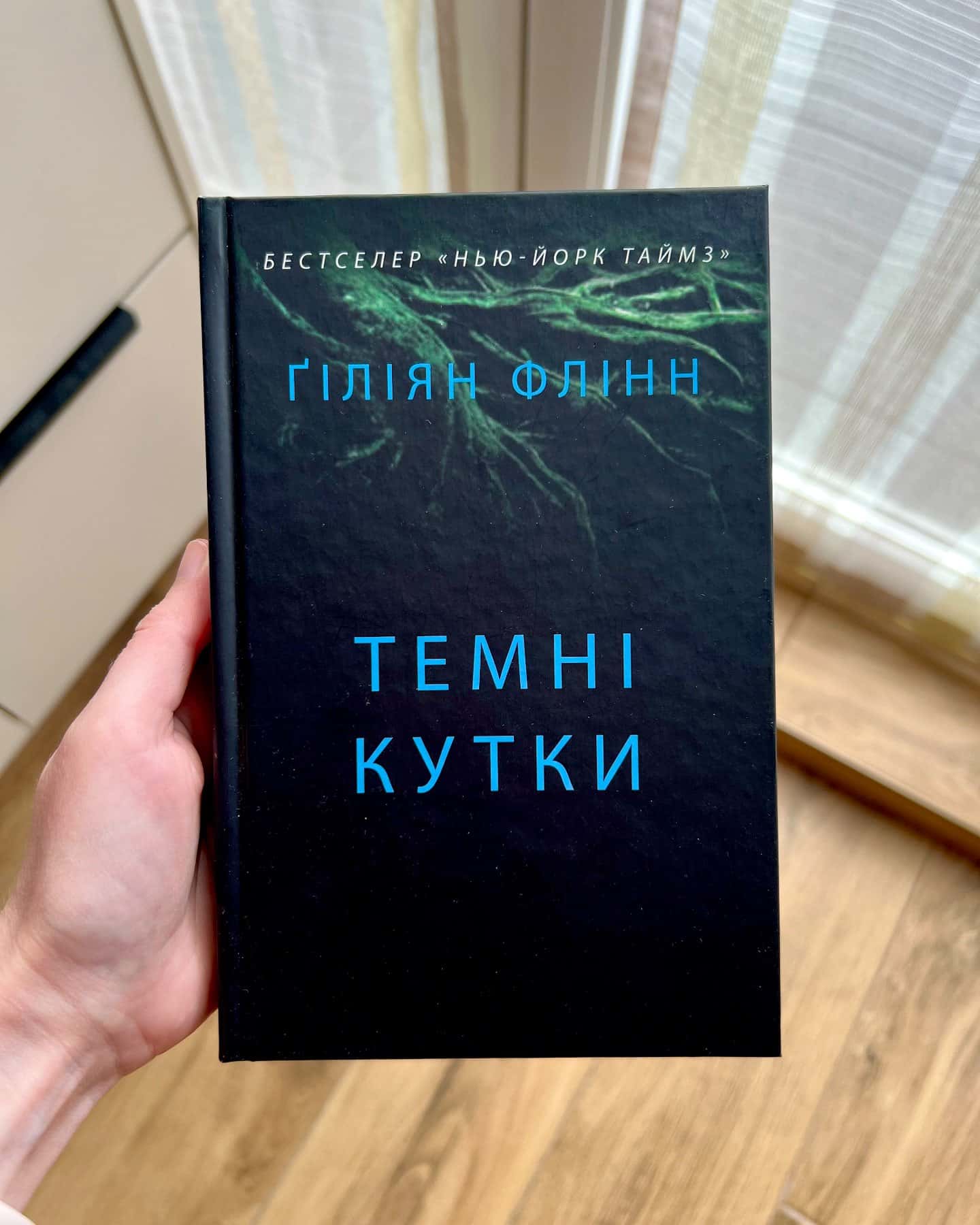 Темні кутки-Ґіліян Флінн