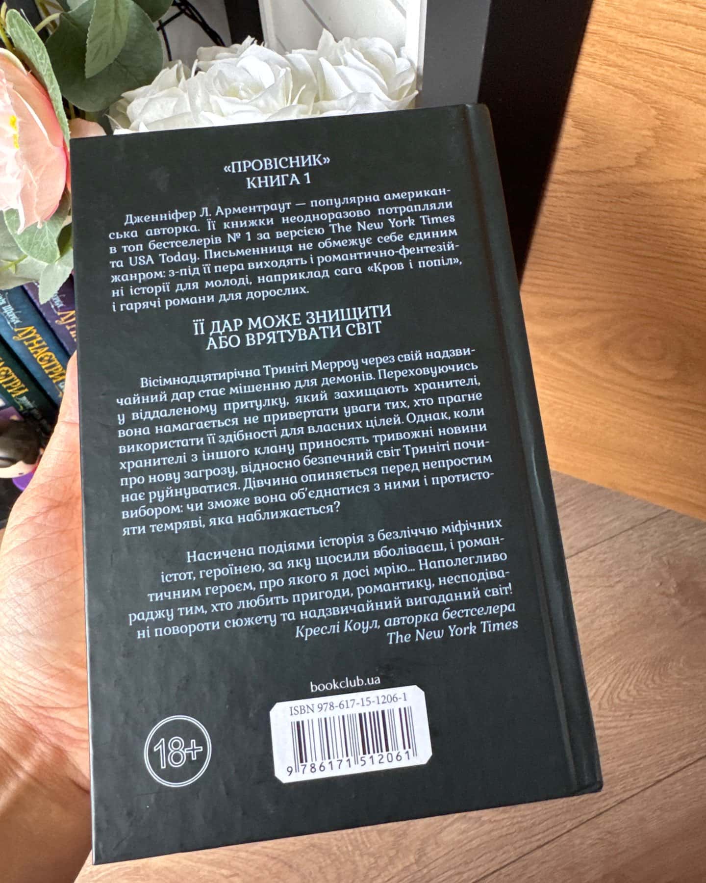 Буря і лють. Книга 1 — Дженніфер Л. Арментраут