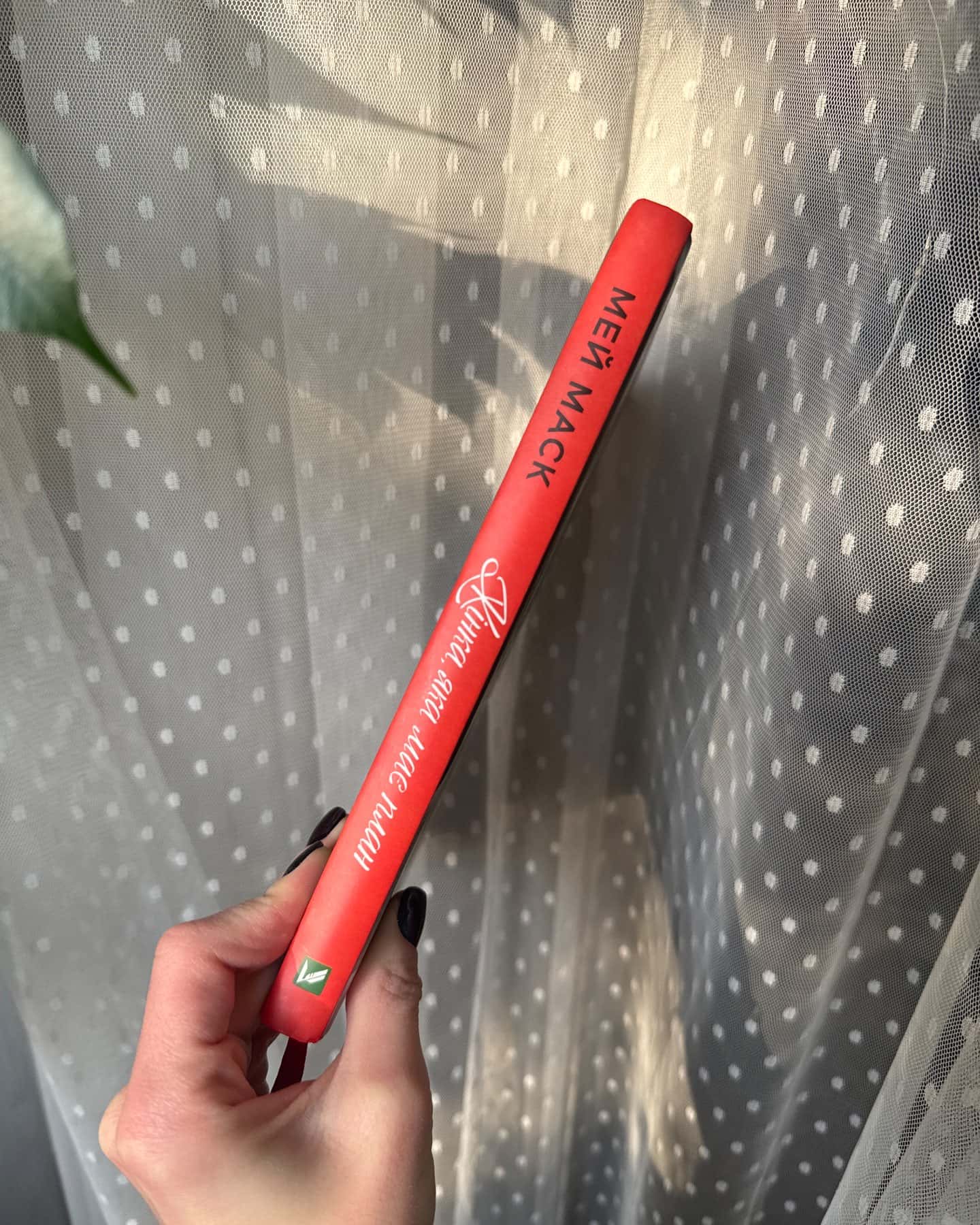 Жінка, яка має план. Життя, сповнене пригод, краси й успіху-Мей Маск