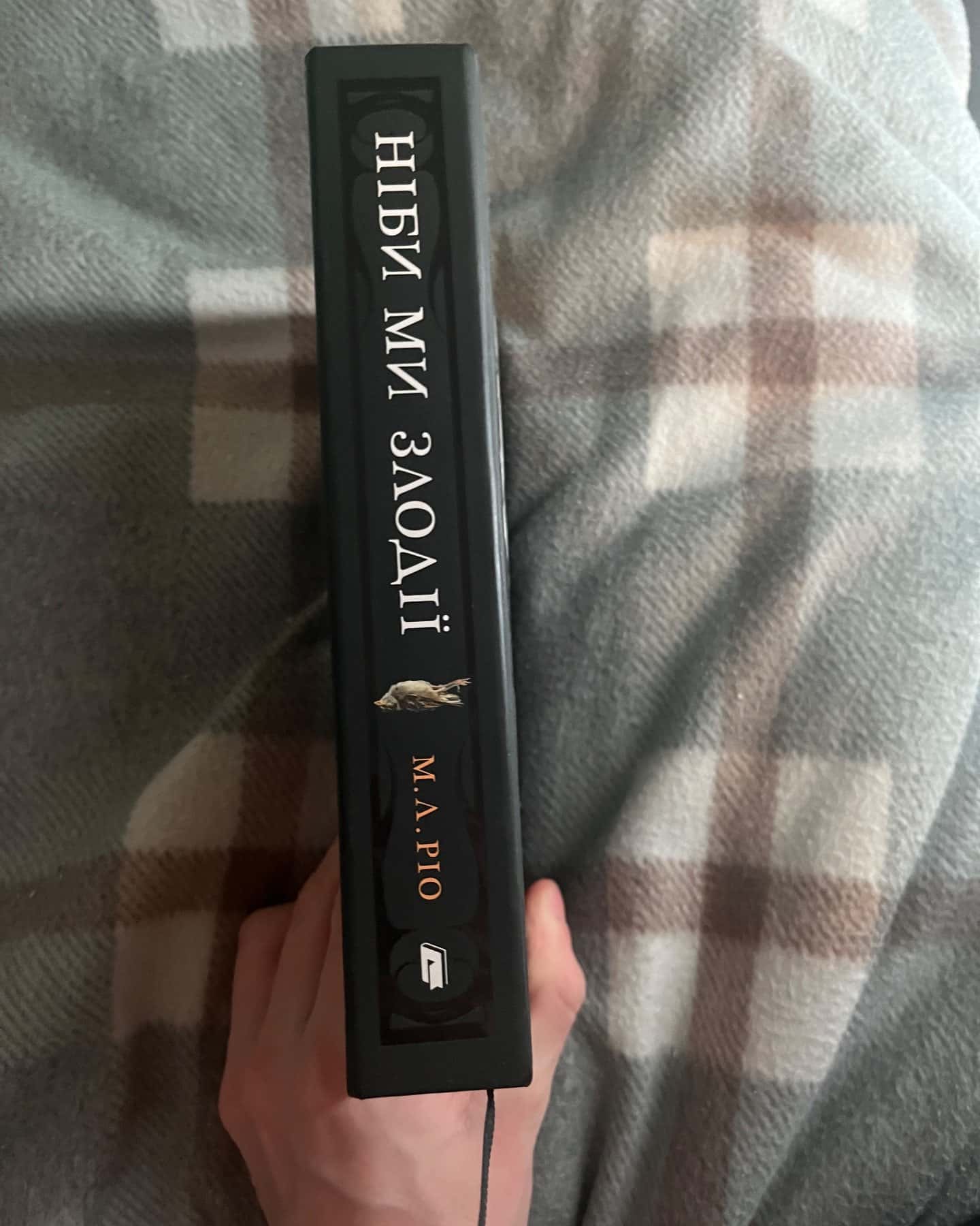 Ніби ми злодії-М. Л. Ріо