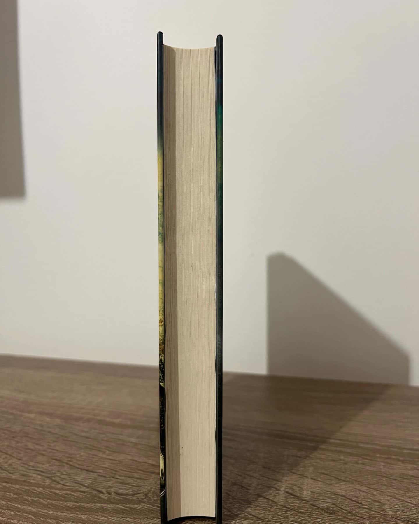 Останній дім на вулиці-Діана Чемберлен