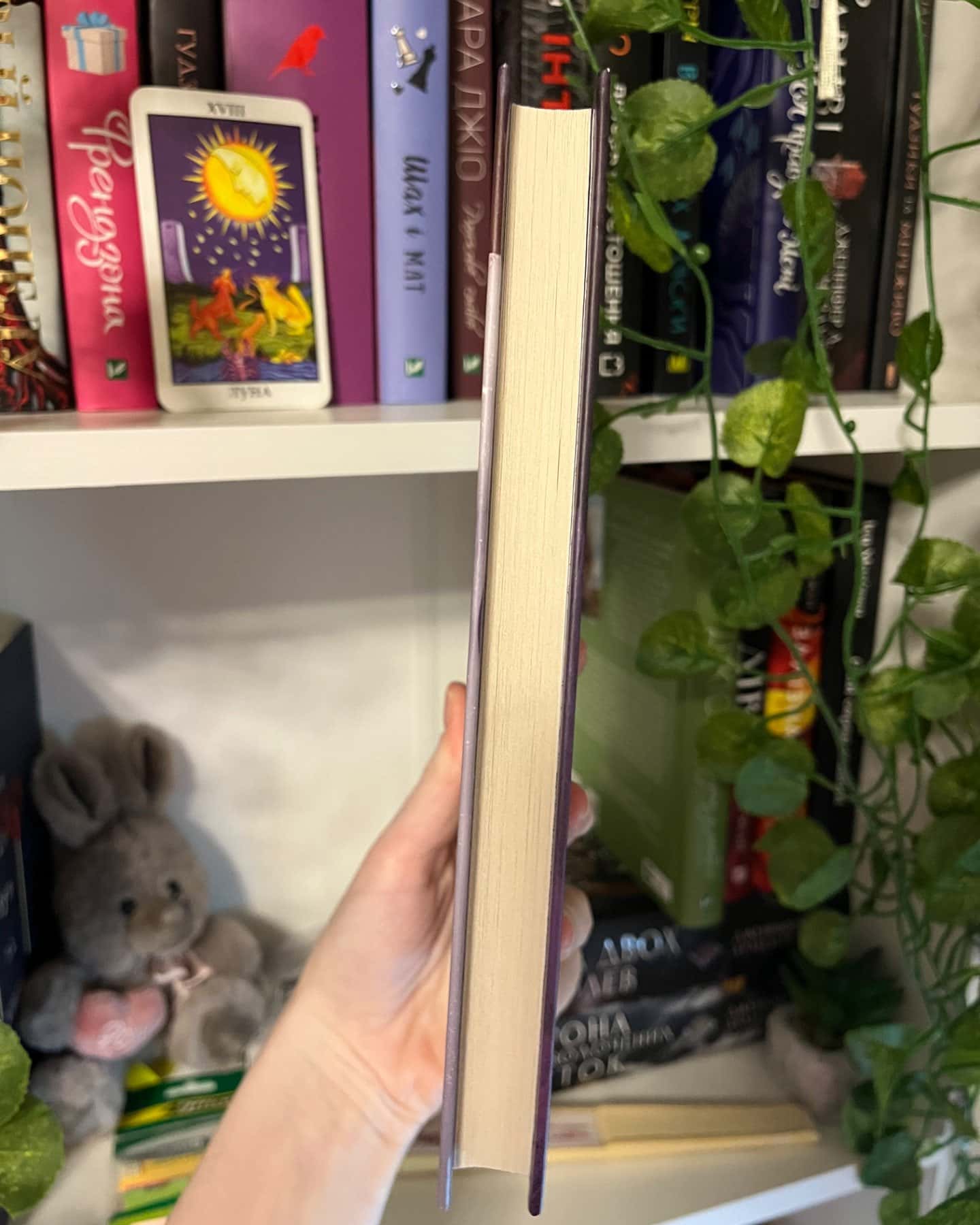 Двір холоду і зоряного сяйва-Сара Маас