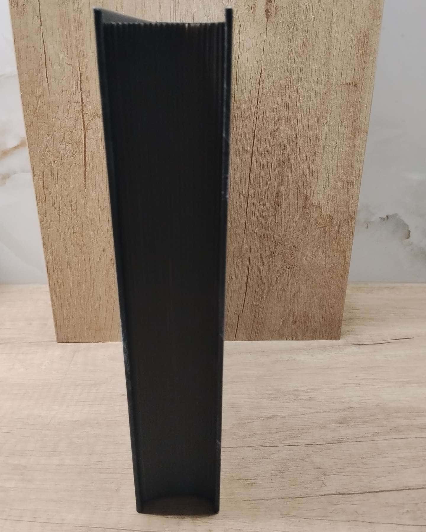 Анафема. Книга 1 — Кері Лейк
