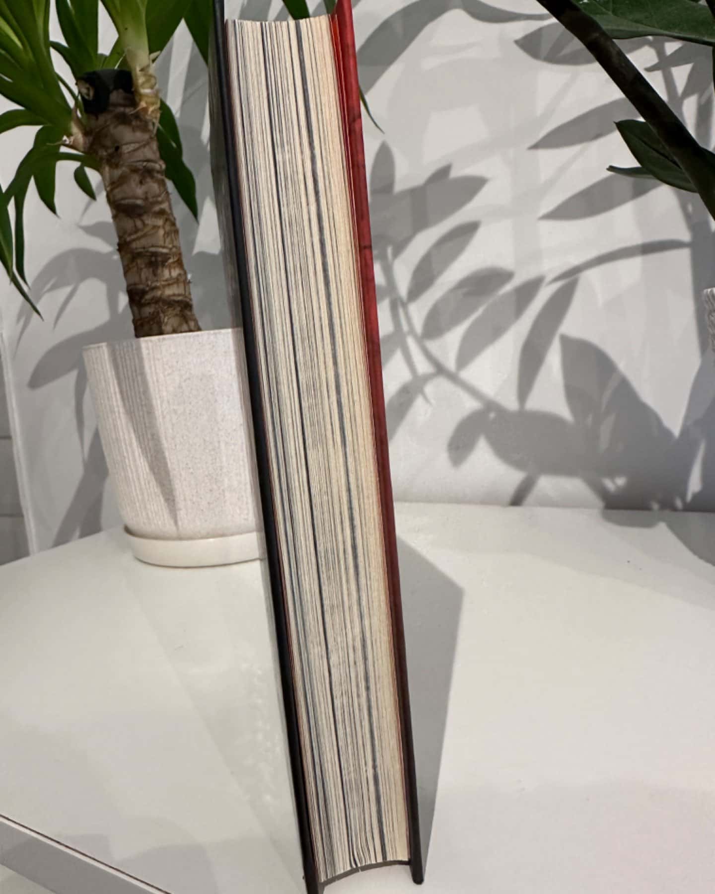 Приховані малюнки-Джейсон Рекулак