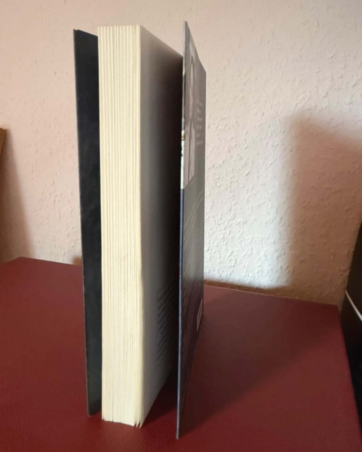 Тінь над Карпатами-Яна Леон