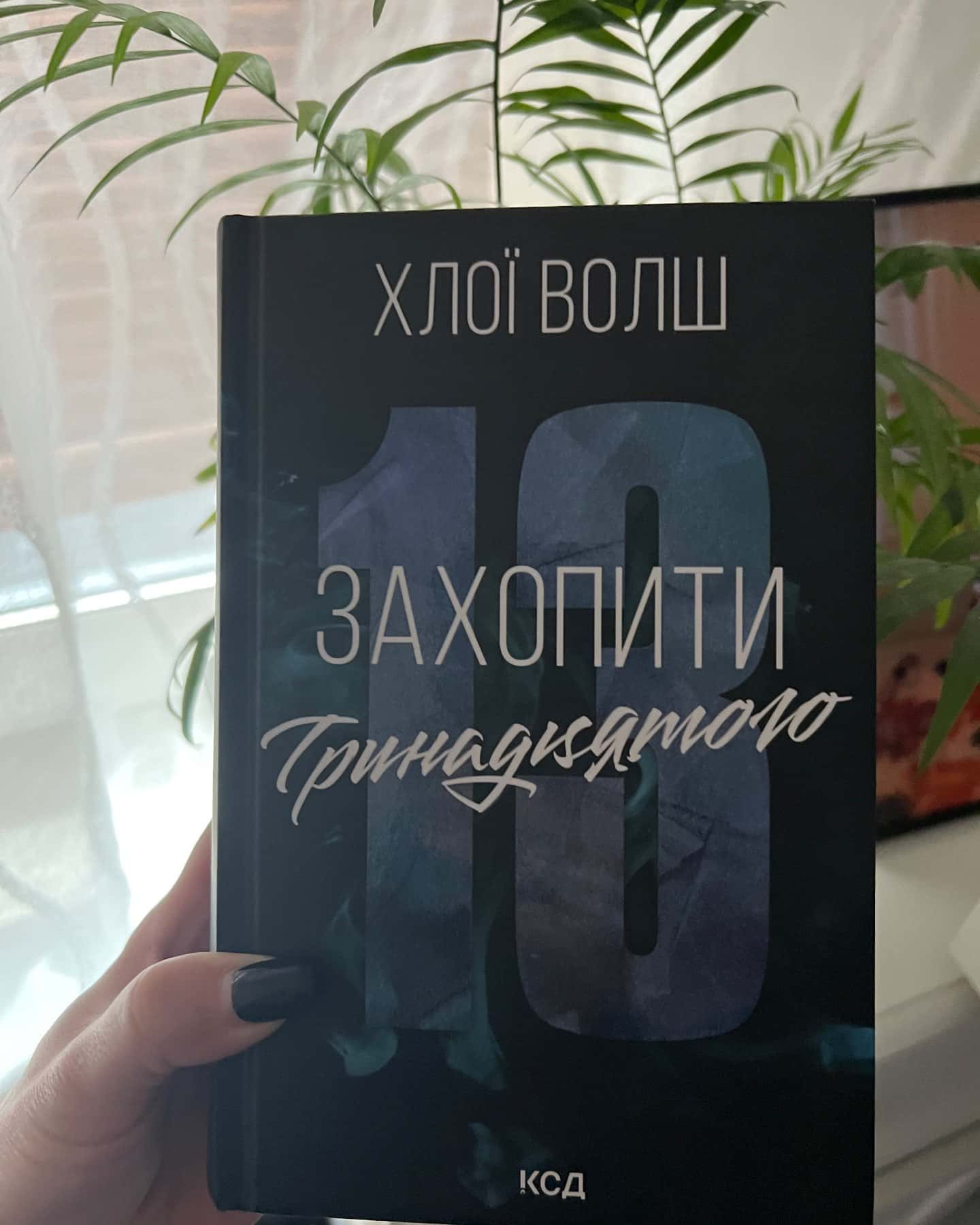Захопити Тринадцятого. Книга 1 — Хлої Волш