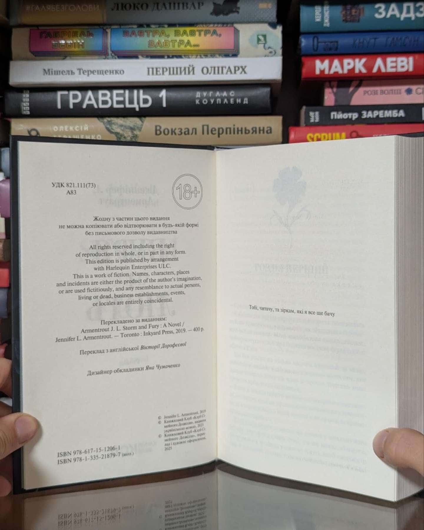 Буря і лють. Книга 1 — Дженніфер Л. Арментраут