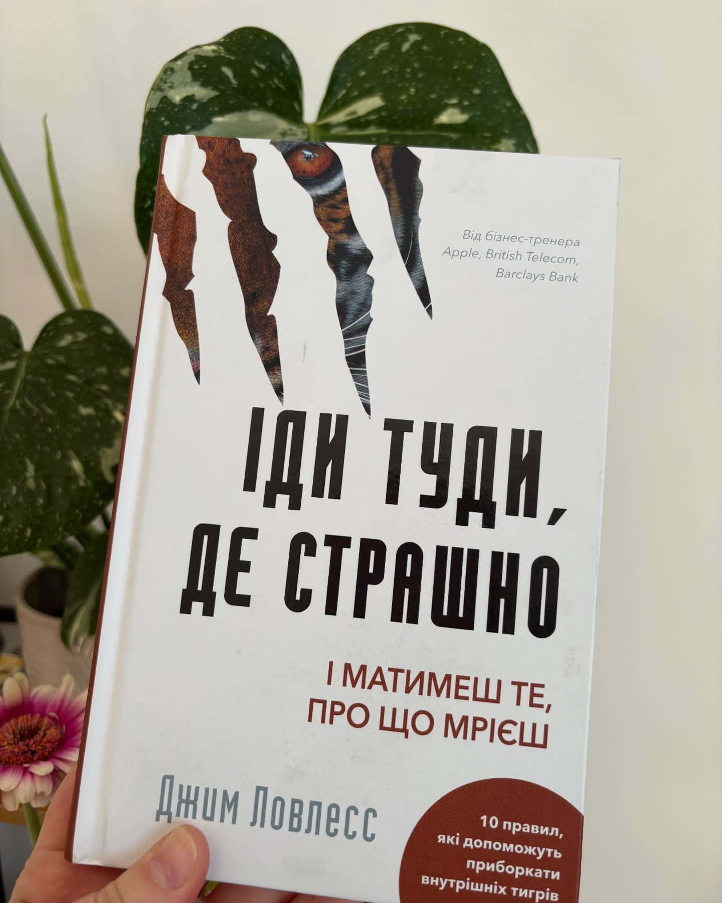 Іди туди, де страшно. І отримаєш те, про що мрієш-Джим Лоулесс