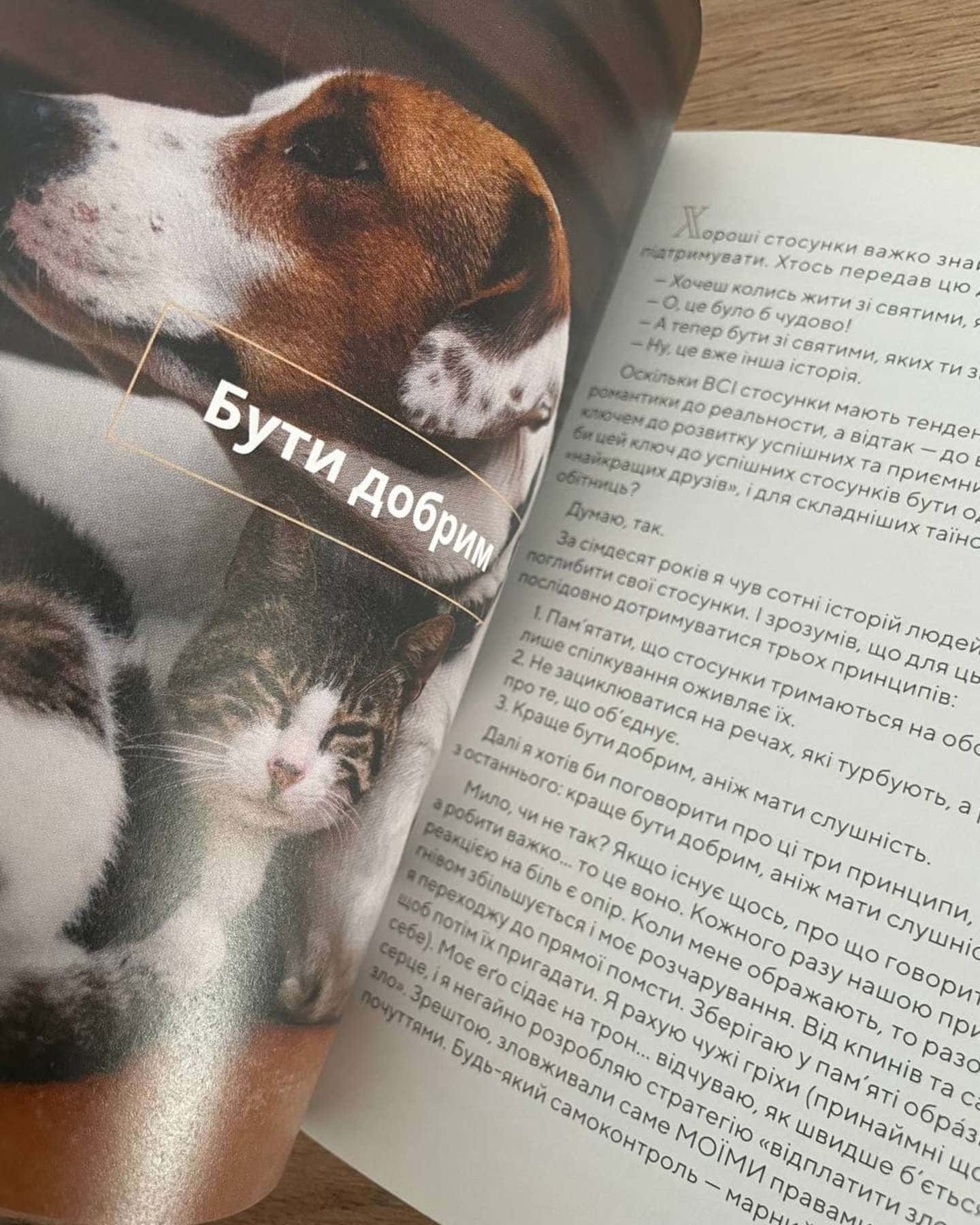 Сіль Життя — Доктор Ренді Маршал